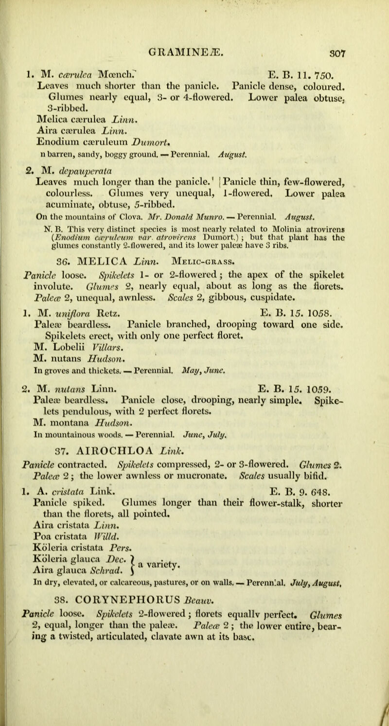 1. M. cecrulea Moench.' E. B. 11. 750. Leaves much shorter than the panicle. Panicle dense, coloured. Glumes nearly equal, 3- or 4-flowered. Lower palea obtuse, 3-ribbed. Melica caerulea Linn. Aira cserulea Linn. Enodium caeruleum 1Dumort, n barren, sandy, boggy ground. — Perennial. August. 2. M. depauperata Leaves much longer than the panicle.1 [ Panicle thin, few-flowered, colourless. Glumes very unequal, 1-flowered. Lower palea acuminate, obtuse, 5-ribbed. On the mountains of Clova. Mr. Donald Munro. — Perennial. August. N. B. This very distinct species is most nearly related to Molinia atrovirens (Enodium cceruleum, var. atrovirens Dumort.) ; but that plant has the glumes constantly 2-flowered, and its lower paleae have 3 ribs. 36. MELICA Linn. Melic-grass. Panicle loose. Spikelets 1- or 2-flowered; the apex of the spikelet involute. Glumes 2, nearly equal, about as long as the florets. Palecc 2, unequal, awnless. Scales 2, gibbous, cuspidate. 1. M. uniflora Retz. E. B. 15. 1058. Palea) beardless. Panicle branched, drooping toward one side. Spikelets erect, with only one perfect floret. M. Lobelii Villars. M. nutans Hudson. In groves and thickets. — Perennial. May, June. 2. M. nutans Linn. E. B. 15. 1059. Paleas beardless. Panicle close, drooping, nearly simple. Spike- lets pendulous, with 2 perfect florets. M. montana Hudson. In mountainous woods. — Perennial. June, July. 37. AIROCHLOA Link. Panicle contracted. Spikelets compressed, 2- or 3-flowered. Glumes 2. Palea; 2; the lower awnless or mucronate. Scales usually bifid. 1. A. cristata Link. E. B. 9. 648. Panicle spiked. Glumes longer than their flower-stalk, shorter than the florets, all pointed. Aira cristata Linn. Poa cristata Willd. Koleria cristata Pers. Kbleria glauca Dec \ • Aira glauca Schrad. $ In dry, elevated, or calcareous, pastures, or on walls. — Perennial. July, August, 38. CORYNEPHORUS Bcauv. Panicle loose. Spikelets 2-flowered; florets equally perfect* Glumes 2, equal, longer than the palea;. Palea; 2 ; the lower entire, bear- ing a twisted, articulated, clavate awn at its base.