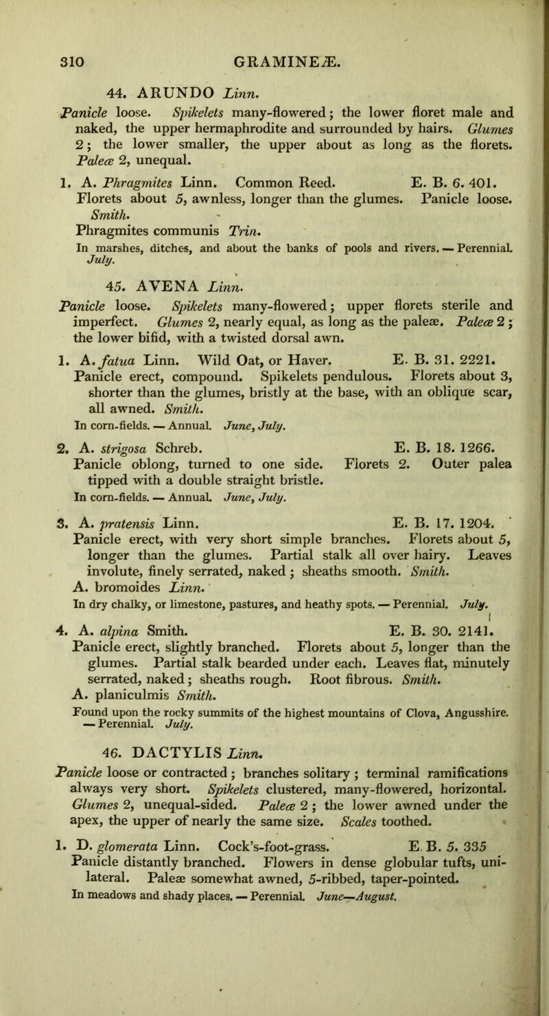 44. ARUNDO Linn. Panicle loose. Spikelets many-flowered; the lower floret male and naked, the upper hermaphrodite and surrounded by hairs. Glumes 2; the lower smaller, the upper about as long as the florets. Palece 2, unequal. 1. A. Phragmites Linn. Common Reed. E. B. 6. 401. Florets about 5, awnless, longer than the glumes. Panicle loose. Smith. Phragmites communis Trin. In marshes, ditches, and about the banks of pools and rivers. — Perennial July. 45. A VENA Linn. Panicle loose. Spikelets many-flowered; upper florets sterile and imperfect. Glumes 2, nearly equal, as long as the paleae. Palece 2 ; the lower bifid, with a twisted dorsal awn. 1. A.fatua Linn. Wild Oat, or Haver. E. B. 31. 2221. Panicle erect, compound. Spikelets pendulous. Florets about 3, shorter than the glumes, bristly at the base, with an oblique scar, all awned. Smith. In corn-fields. — Annual. June, July. 2. A. strigosa Schreb. E. B. 18. 1266. Panicle oblong, turned to one side. Florets 2. Outer palea tipped with a double straight bristle. In corn-fields. — Annual June, July. 3. A. pratensis Linn. E. B. 17. 1204. Panicle erect, with very short simple branches. Florets about 5, longer than the glumes. Partial stalk all over hairy. Leaves involute, finely serrated, naked ; sheaths smooth. Smith. A. bromoides Linn. In dry chalky, or limestone, pastures, and heathy spots. — Perennial. July. I 4. A. aljnna Smith. E. B. 30. 2141. Panicle erect, slightly branched. Florets about 5, longer than the glumes. Partial stalk bearded under each. Leaves flat, minutely serrated, naked; sheaths rough. Root fibrous. Smith. A. planiculmis Smith. Found upon the rocky summits of the highest mountains of Clova, Angusshire. — PerenniaL July. 46. DACTYLIS Linn. Panicle loose or contracted ; branches solitary ; terminal ramifications always very short. Spikelets clustered, many-flowered, horizontal. Glumes 2, unequal-sided. Palece 2; the lower awned under the apex, the upper of nearly the same size. Scales toothed. 1. D. glomerata Linn. Cock’s-foot-grass. E B. 5. 335 Panicle distantly branched. Flowers in dense globular tufts, uni- lateral. Paleae somewhat awned, 5-ribbed, taper-pointed. In meadows and shady places. — Perennial June-^August.