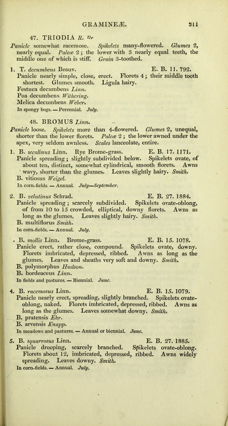 47. TRIODIA R. Vr Panicle somewhat racemose. Spikelets many-flowered. Glumes 2, nearly equal. Palece 2 ; the lower with 3 nearly equal teeth, the middle one of which is stiff. Grain 3-toothed. 1. T. decumbens Beauv. E. B. 11. 792. Panicle nearly simple, close, erect. Florets 4; their middle tooth shortest. Glumes smooth. Ligula hairy. Festuca decumbens Linn. Poa decumbens Withering. Melica decumbens Weber. In spongy bogs. — Perennial. July. 48. BROMUS Linn. Panicle loose. Spikelets more than 4-flowered. Glumes 2, unequal, shorter than the lower florets. Palece 2 ; the lower awned under the apex, very seldom awnless. Scales lanceolate, entire. 1. B. secalinus Linn. Rye Brome-grass. E. B. 17. 1171. Panicle spreading; slightly subdivided below. Spikelets ovate, of about ten, distinct, somewhat cylindrical, smooth florets. Awns wavy, shorter than the glumes. Leaves slightly hairy. Smith. B. vitiosus Weigel. In corn-fields. — Annual. July—September. 2. B. velutinus Schrad. E. B. 27. 1884. Panicle spreading ; scarcely subdivided. Spikelets ovate-oblong, of from 10 to 15 crowded, elliptical, downy florets. Awns as long as the glumes. Leaves slightly hairy. Smith. B. multiflorus Smith. In corn-fields. — Annual. July. . B. mollis Linn. Brome-grass. E. B. 15. 1078. Panicle erect, rather close, compound. Spikelets ovate, downy. Florets imbricated, depressed, ribbed. Awns as long as the glumes. Leaves and sheaths very soft and downy. Smith. B. polymorphus Hudson. B. hordeaceus Linn. In fields and pastures. — Biennial. June. 4. B. racemosus Linn. E. B. 15. 1079. Panicle nearly erect, spreading, slightly branched. Spikelets ovate- oblong, naked. Florets imbricated, depressed, ribbed. Awns as long as the glumes. Leaves somewhat downy. Smith. B. pratensis Ehr. B. arvensis Knapp. In meadows and pastures. — Annual or biennial. June. 5. B. squarrosus Linn. E. B. 27. 1885. Panicle drooping, scarcely branched. Spikelets ovate-oblong. Florets about 12, imbricated, depressed, ribbed. Awns widely spreading. Leaves downy. Smith. In corn-fields. — Annual. July.