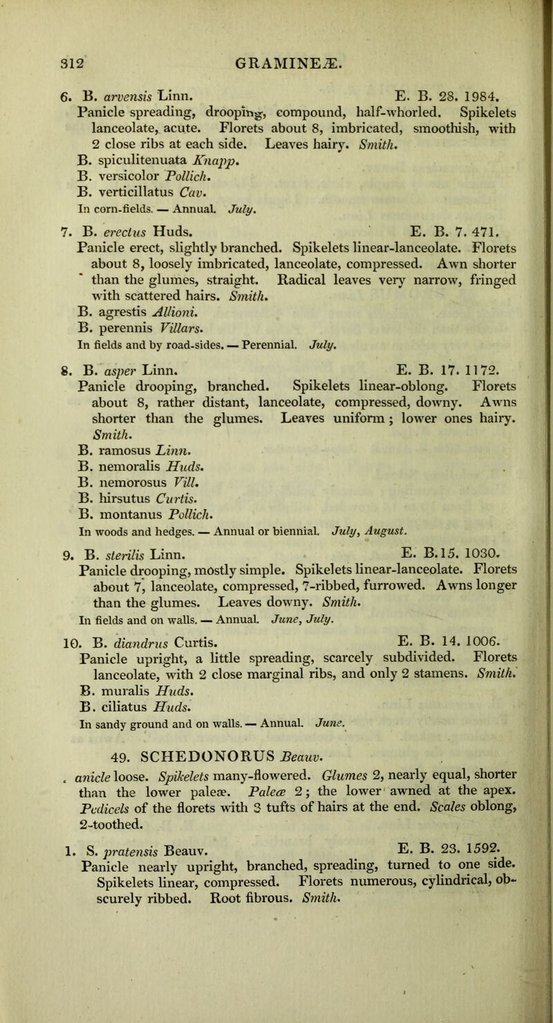 6. B. arvensis Linn. E. B. 28. 1984. Panicle spreading, drooping, compound, half-whorled. Spikelets lanceolate, acute. Florets about 8, imbricated, smoothish, with 2 close ribs at each side. Leaves hairy. Smith. B. spiculitenuata Knapp. B. versicolor Pollich. B. verticillatus Cav. In corn-fields. — Annual. July. 7. B. erectus Huds. E. B. 7. 471. Panicle erect, slightly branched. Spikelets linear-lanceolate. Florets about 8, loosely imbricated, lanceolate, compressed. Awn shorter than the glumes, straight. Radical leaves very narrow, fringed with scattered hairs. Smith. B. agrestis Allioni. B. perennis Villars. In fields and by road-sides. — Perennial. July. 8. B.asper Linn. E. B. 17. 1172. Panicle drooping, branched. Spikelets linear-oblong. Florets about 8, rather distant, lanceolate, compressed, downy. Awns shorter than the glumes. Leaves uniform; lower ones hairy. Smith. B. ramosus Linn. B. nemoralis Huds. B. nemorosus Till. B. hirsutus Curtis. B. montanus Pollich. In woods and hedges. — Annual or biennial. July, August. 9. B. sterilis Linn. E. B. 15. 1030. Panicle drooping, mostly simple. Spikelets linear-lanceolate. Florets about 7, lanceolate, compressed, 7-ribbed, furrowed. Awns longer than the glumes. Leaves downy. Smith. In fields and on walls. — Annual. June, July. 10. B. diandrus Curtis. E. B. *0^’ Panicle upright, a little spreading, scarcely subdivided. Florets lanceolate, with 2 close marginal ribs, and only 2 stamens. Smith. B. muralis Huds. B. ciliatus Huds. In sandy ground and on walls. — Annual. June. 49. SCHEDONORUS Beauv. , anicle loose. Spikelets many-flowered. Glumes 2, nearly equal, shorter than the lower paleae. Palece 2; the lower awned at the apex. Pedicels of the florets with 3 tufts of hairs at the end. Scales oblong, 2-toothed. 1. S. pratensis Beauv. E. B. 23. 1592. Panicle nearly upright, branched, spreading, turned to one side. Spikelets linear, compressed. Florets numerous, cylindrical, ob- scurely ribbed. Root fibrous. Smith.