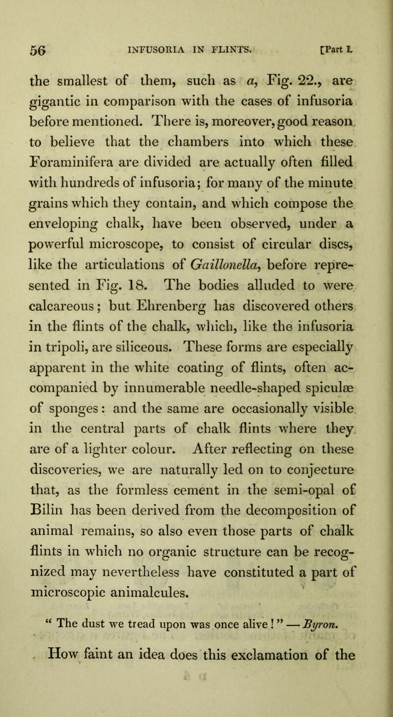 the smallest of them, such as a, Fig. 22., are gigantic in comparison with the cases of infusoria before mentioned. There is, moreover, good reason to believe that the chambers into which these Foraminifera are divided are actually often filled with hundreds of infusoria; for many of the minute grains which they contain, and which compose the enveloping chalk, have been observed, under a powerful microscope, to consist of circular discs, like the articulations of Gaillonella, before repre- sented in Fig. 18. The bodies alluded to were calcareous; but Ehrenberg has discovered others in the flints of the chalk, which, like the infusoria in tripoli, are siliceous. These forms are especially apparent in the white coating of flints, often ac- companied by innumerable needle-shaped spiculae of sponges: and the same are occasionally visible in the central parts of chalk flints where they are of a lighter colour. After reflecting on these discoveries, we are naturally led on to conjecture that, as the formless cement in the semi-opal of Bilin has been derived from the decomposition of animal remains, so also even those parts of chalk flints in which no organic structure can be recog- nized may nevertheless have constituted a part of microscopic animalcules. “ The dust we tread upon was once alive ! ” — Byron. How faint an idea does this exclamation of the