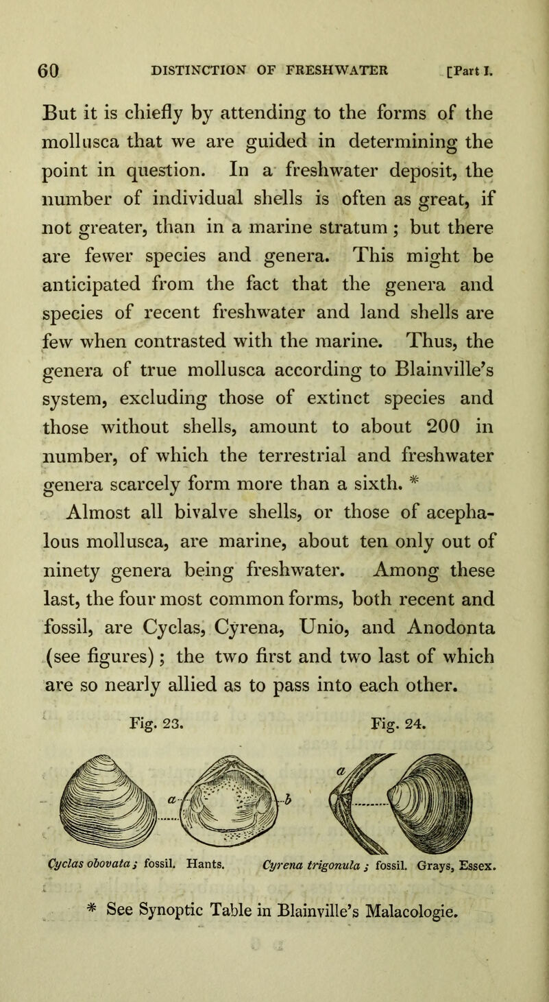 But it is chiefly by attending to the forms of the mollusca that we are guided in determining the point in question. In a freshwater deposit, the number of individual shells is often as great, if not greater, than in a marine stratum; but there are fewer species and genera. This might be anticipated from the fact that the genera and species of recent freshwater and land shells are few when contrasted with the marine. Thus, the genera of true mollusca according to Blainville’s system, excluding those of extinct species and those without shells, amount to about 200 in number, of which the terrestrial and freshwater genera scarcely form more than a sixth. * Almost all bivalve shells, or those of acepha- lous mollusca, are marine, about ten only out of ninety genera being freshwater. Among these last, the four most common forms, both recent and fossil, are Cyclas, Cyrena, Unio, and Anodonta (see figures); the two first and two last of which are so nearly allied as to pass into each other. Fig. 23. Fig. 24. Cyclas obovata , fossil. Hants. Cyrena trigonula ; fossil. Grays, Essex. % See Synoptic Table in Blainville’s Malacologie.