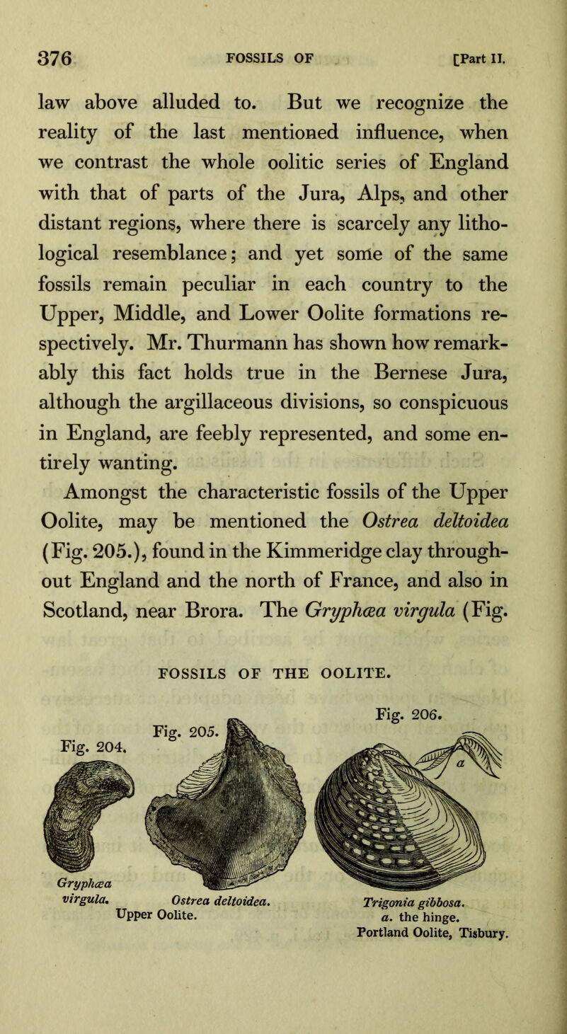 law above alluded to. But we recognize the reality of the last mentioned influence, when we contrast the whole oolitic series of England with that of parts of the Jura, Alps, and other distant regions, where there is scarcely any litho- logical resemblance; and yet some of the same fossils remain peculiar in each country to the Upper, Middle, and Lower Oolite formations re- spectively. Mr. Thurmann has shown how remark- ably this fact holds true in the Bernese Jura, although the argillaceous divisions, so conspicuous in England, are feebly represented, and some en- tirely wanting. Amongst the characteristic fossils of the Upper Oolite, may be mentioned the Ostrea deltoidea (Fig. 205.), found in the Kimmeridge clay through- out England and the north of France, and also in Scotland, near Brora. The Gryphcea virgula (Fig. FOSSILS OF THE OOLITE. virgula, Ostrea deltoidea. Trigonia gibbosa. Upper Oolite. a. the hinge. Portland Oolite, Tisbury.