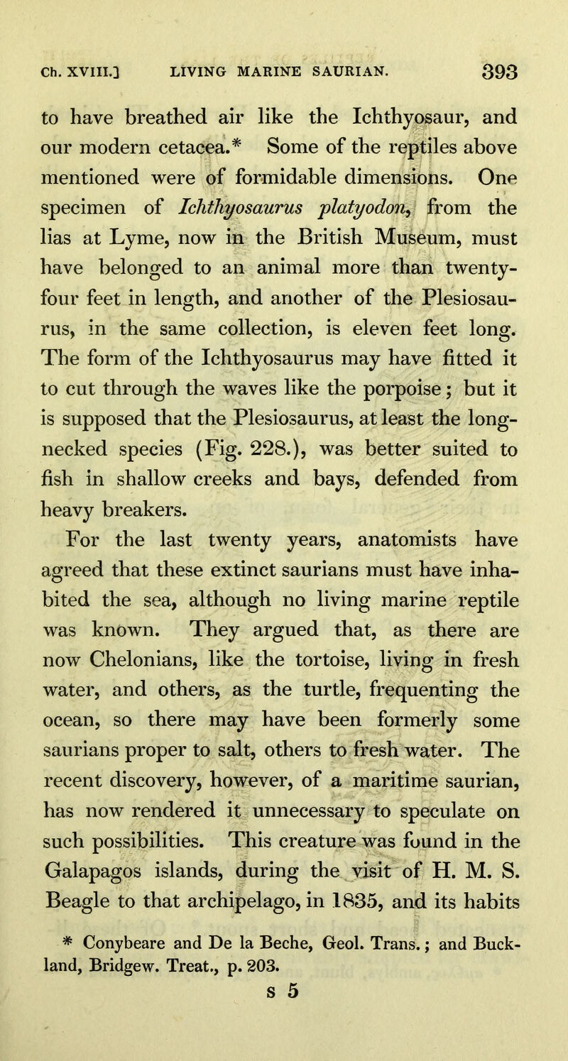 to have breathed air like the Ichthyosaur, and our modern cetacea.* Some of the reptiles above mentioned were of formidable dimensions. One specimen of Ichthyosaurus platyodon, from the lias at Lyme, now in the British Museum, must have belonged to an animal more than twenty- four feet in length, and another of the Plesiosau- rus, in the same collection, is eleven feet long. The form of the Ichthyosaurus may have fitted it to cut through the waves like the porpoise; but it is supposed that the Plesiosaurus, at least the long- necked species (Fig. 228.), was better suited to fish in shallow creeks and bays, defended from heavy breakers. For the last twenty years, anatomists have agreed that these extinct saurians must have inha- bited the sea, although no living marine reptile was known. They argued that, as there are now Chelonians, like the tortoise, living in fresh water, and others, as the turtle, frequenting the ocean, so there may have been formerly some saurians proper to salt, others to fresh water. The recent discovery, however, of a maritime saurian, has now rendered it unnecessary to speculate on such possibilities. This creature was found in the Galapagos islands, during the visit of H. M. S. Beagle to that archipelago, in 1835, and its habits * Conybeare and De la Beche, Geol. Trans.; and Buck- land, Bridgew. Treat., p. 203.