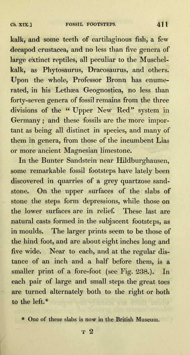 kalk, and some teeth of cartilaginous fish, a few decapod Crustacea, and no less than five genera of large extinct reptiles, all peculiar to the Muschel- kalk, as Phytosaurus, Dracosaurus, and others. Upon the whole, Professor Bronn has enume- rated, in his Lethaea Geognostica, no less than forty-seven genera of fossil remains from the three divisions of the c< Upper New Red” system in Germany; and these fossils are the more impor- tant as being all distinct in species, and many of them in genera, from those of the incumbent Lias or more ancient Magnesian limestone. In the Bunter Sandstein near Hildburghausen, some remarkable fossil footsteps have lately been discovered in quarries of a grey quartzose sand- stone. On the upper surfaces of the slabs of stone the steps form depressions, while those on the lower surfaces are in relief. These last are natural casts formed in the subjacent footsteps, as in moulds. The larger prints seem to be those of the hind foot, and are about eight inches long and five wide. Near to each, and at the regular dis- tance of an inch and a half before them, is a smaller print of a fore-foot (see Fig. 238.). In each pair of large and small steps the great toes are turned alternately both to the right or both to the left.* * One of these slabs is now in the British Museum.