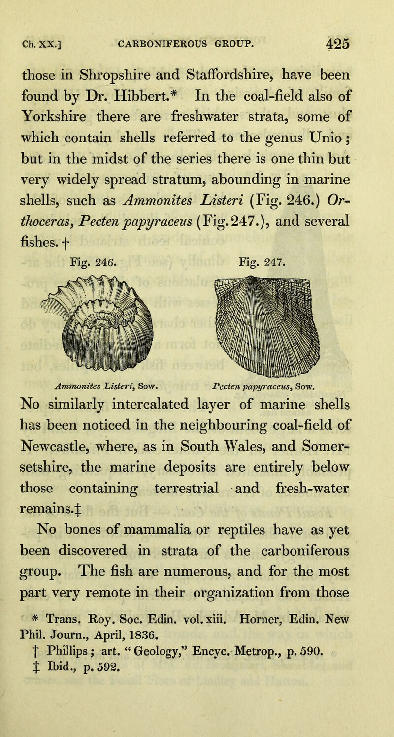 those in Shropshire and Staffordshire, have been found by Dr. Hibbert.* In the coal-field also of Yorkshire there are freshwater strata, some of which contain shells referred to the genus Unio; but in the midst of the series there is one thin but very widely spread stratum, abounding in marine shells, such as Ammonites Listeri (Fig. 246.) Or- thoceras, Pecten papyraceus (Fig.247.), and several fishes, f Fig. 246. Fig. 247. Ammonites Listeri, Sow. Pecten papyraceus, Sow. No similarly intercalated layer of marine shells has been noticed in the neighbouring coal-field of Newcastle, where, as in South Wales, and Somer- setshire, the marine deposits are entirely below those containing terrestrial and fresh-water remains.^ No bones of mammalia or reptiles have as yet been discovered in strata of the carboniferous group. The fish are numerous, and for the most part very remote in their organization from those * Trans. Roy. Soc. Edin. vol. xiii. Horner, Edin. New Phil. Journ., April, 1836. f Phillips; art. “Geology,” Encvc. Metrop., p.590. j Ibid., p. 592.