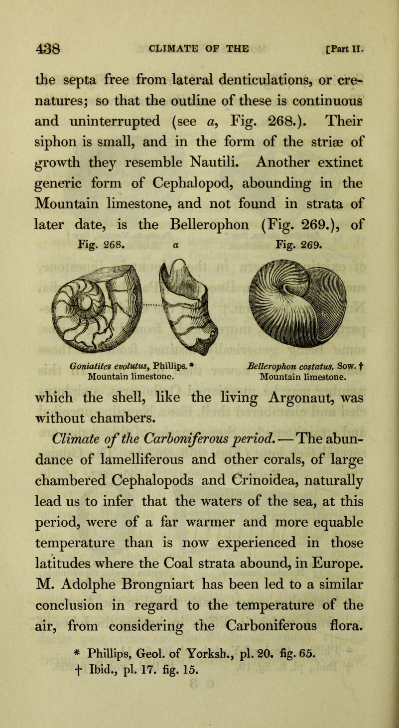 the septa free from lateral denticulations, or ere- natures; so that the outline of these is continuous and uninterrupted (see a, Fig. 268.). Their siphon is small, and in the form of the striae of growth they resemble Nautili. Another extinct generic form of Cephalopod, abounding in the Mountain limestone, and not found in strata of later date, is the Bellerophon (Fig. 269.), of Fig. 268. a Fig. 269. Goniatites evolutus, Phillips. * Bellerophon costatus. Sow. t Mountain limestone. Mountain limestone. which the shell, like the living Argonaut, was without chambers. Climate of the Carboniferous period. — The abun- dance of lamelliferous and other corals, of large chambered Cephalopods and Crinoidea, naturally lead us to infer that the waters of the sea, at this period, were of a far warmer and more equable temperature than is now experienced in those latitudes where the Coal strata abound, in Europe. M. Adolphe Brongniart has been led to a similar conclusion in regard to the temperature of the air, from considering the Carboniferous flora. * Phillips, Geol. of Yorksh., pi. 20. fig. 65. + Ibid., pi. 17. fig. 15.