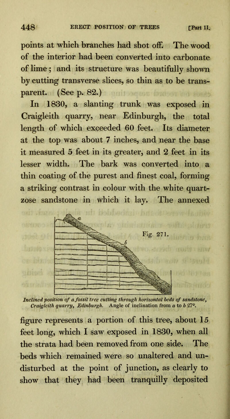 points at which branches had shot off. The wood of the interior had been converted into carbonate of lime ; and its structure was beautifully shown by cutting transverse slices, so thin as to be trans- parent. (See p. 82.) In 1830, a slanting trunk was exposed in Craigleith quarry, near Edinburgh, the total length of which exceeded 60 feet. Its diameter at the top was about 7 inches, and near the base it measured 5 feet in its greater, and 2 feet in its lesser width. The bark was converted into a thin coating of the purest and finest coal, forming a striking contrast in colour with the white quart- zose sandstone in which it lay. The annexed Inclined, position of a fossil tree cutting through horizontal beds of sandstone, Craigleith quarry, Edinburgh. Angle of inclination from a to b 27°. figure represents a portion of this tree, about 15 feet long, which I saw exposed in 1830, when all the strata had been removed from one side. The beds which remained were so unaltered and un- disturbed at the point of junction, as clearly to show that they had been tranquilly deposited