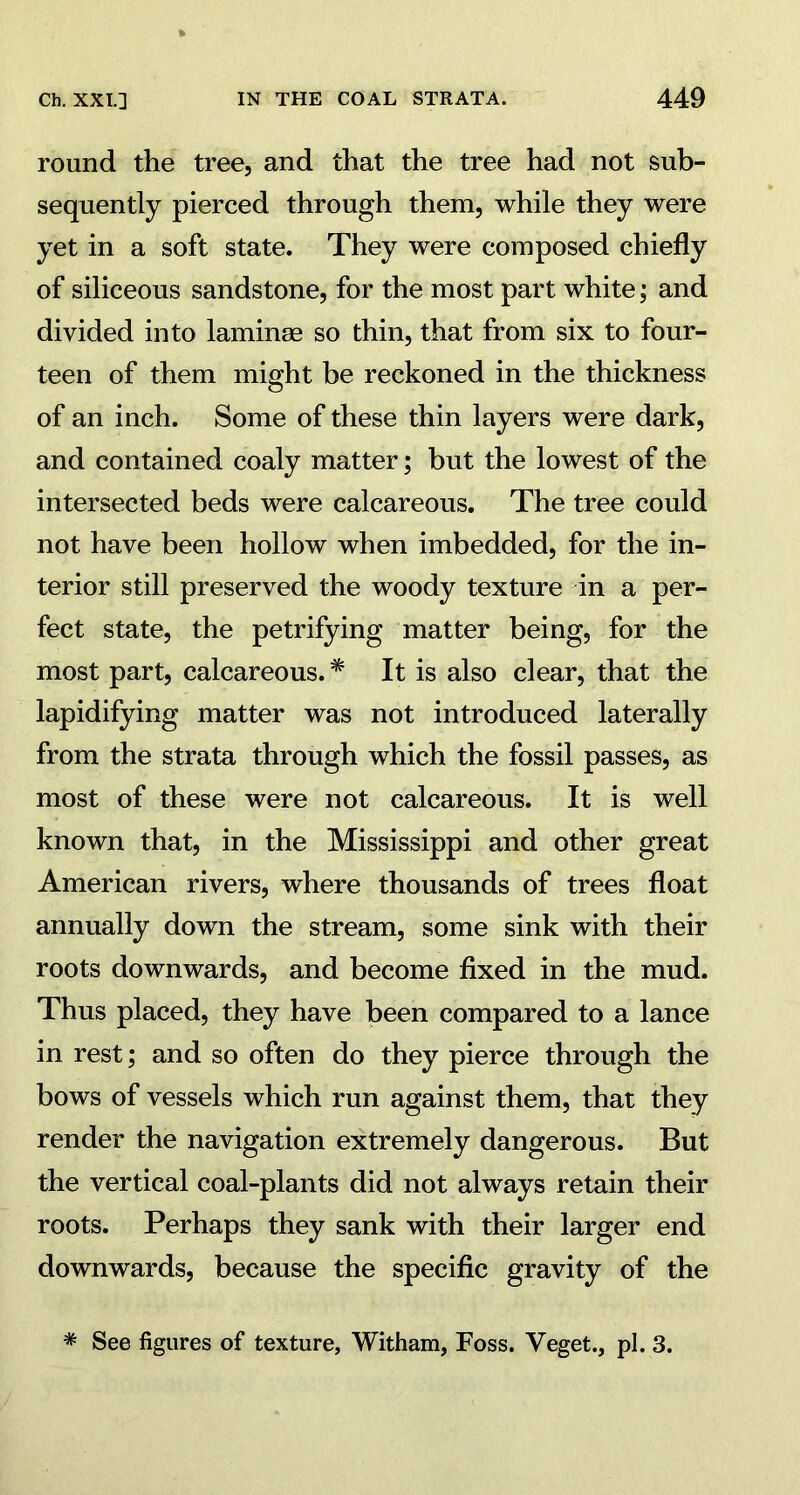 round the tree, and that the tree had not sub- sequently pierced through them, while they were yet in a soft state. They were composed chiefly of siliceous sandstone, for the most part white; and divided into laminae so thin, that from six to four- teen of them might be reckoned in the thickness of an inch. Some of these thin layers were dark, and contained coaly matter; but the lowest of the intersected beds were calcareous. The tree could not have been hollow when imbedded, for the in- terior still preserved the woody texture in a per- fect state, the petrifying matter being, for the most part, calcareous. * It is also clear, that the lapidifying matter was not introduced laterally from the strata through which the fossil passes, as most of these were not calcareous. It is well known that, in the Mississippi and other great American rivers, where thousands of trees float annually down the stream, some sink with their roots downwards, and become fixed in the mud. Thus placed, they have been compared to a lance in rest; and so often do they pierce through the bows of vessels which run against them, that they render the navigation extremely dangerous. But the vertical coal-plants did not always retain their roots. Perhaps they sank with their larger end downwards, because the specific gravity of the * See figures of texture, Witham, Foss. Veget., pi. 3.