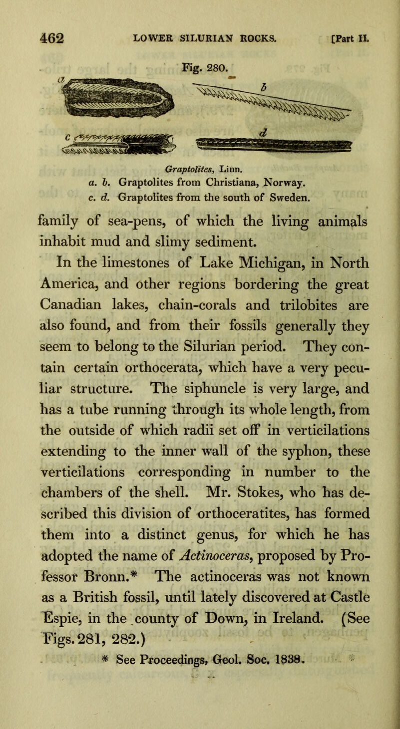 Fig. 280. Graptolites, Linn. a. I. Graptolites from Christiana, Norway, c. d. Graptolites from the south of Sweden. family of sea-pens, of which the living animals inhabit mud and slimy sediment. In the limestones of Lake Michigan, in North America, and other regions bordering the great Canadian lakes, chain-corals and trilobites are also found, and from their fossils generally they seem to belong to the Silurian period. They con- tain certain orthocerata, which have a very pecu- liar structure. The siphuncle is very large, and has a tube running through its whole length, from the outside of which radii set off in verticilations extending to the inner wall of the syphon, these verticilations corresponding in number to the chambers of the shell. Mr. Stokes, who has de- scribed this division of orthoceratites, has formed them into a distinct genus, for which he has adopted the name of Actinoceras, proposed by Pro- fessor Bronn.* The actinoceras was not known as a British fossil, until lately discovered at Castle Espie, in the county of Down, in Ireland. (See Figs. 281, 282.) * See Proceedings, Geol. Soc, 1838.