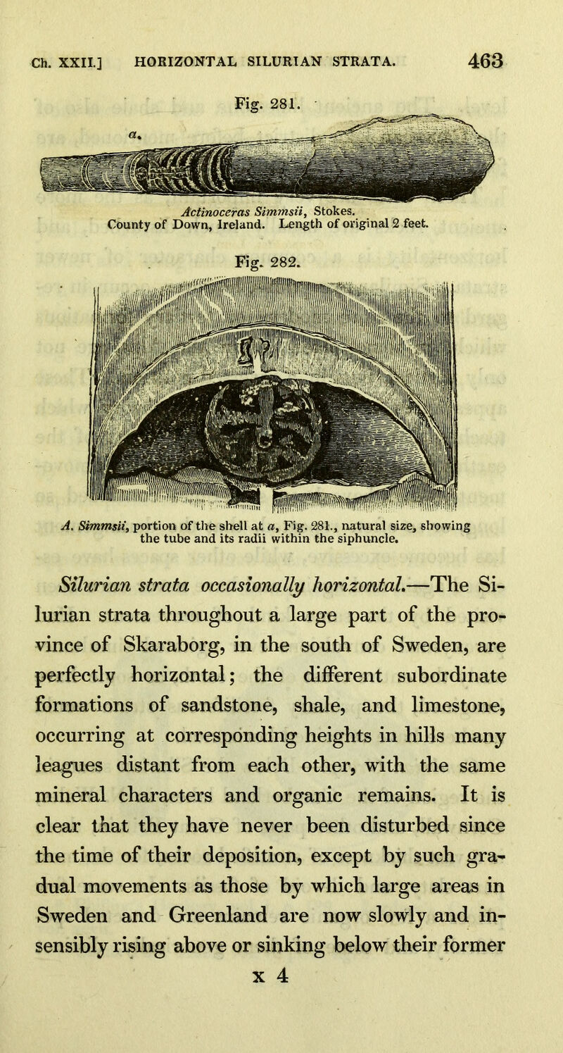 Fig. 281. Actinoceras Simmsii, Stokes. County of Down, Ireland. Length of original 2 feet. Fig. 282. A. Simmsii, portion of the shell at a. Fig. 281., natural size, showing the tube and its radii within the siphuncle. Silurian strata occasionally horizontal.—The Si- lurian strata throughout a large part of the pro- vince of Skaraborg, in the south of Sweden, are perfectly horizontal; the different subordinate formations of sandstone, shale, and limestone, occurring at corresponding heights in hills many leagues distant from each other, with the same mineral characters and organic remains. It is clear that they have never been disturbed since the time of their deposition, except by such gra- dual movements as those by which large areas in Sweden and Greenland are now slowly and in- sensibly rising above or sinking below their former