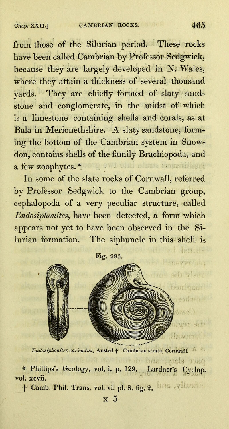 from those of the Silurian period. These rocks have been called Cambrian by Professor Sedgwick* because they are largely developed in N. Wales, where they attain a thickness of several thousand yards. They are chiefly formed of slaty sand- stone and conglomerate, in the midst of which is a limestone containing shells and corals, as at Bala in Merionethshire. A slaty sandstone, form- ing the bottom of the Cambrian system in Snow- don, contains shells of the family Brachiopoda, and a few zoophytes. * In some of the slate rocks of Cornwall, referred by Professor Sedgwick to the Cambrian group, cephalopoda of a very peculiar structure, called Endosiphonites, have been detected, a form which appears not yet to have been observed in the Si- lurian formation. The siphuncle in this shell is Fig. 283. Endosiphonites carinatus, Ansted.f Cambrian strata, Cornwall. * Phillips’s Geology, vol. i. p. 129. Lardner’s Cyclop. Vol. xcvii. f Camb. Phil. Trans, vol. vi. pi. 8. fig. 2.