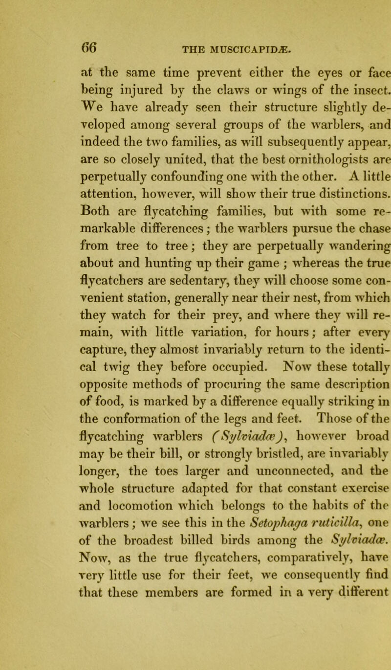 at the same time prevent either the eyes or face being injured by the claws or wings of the insect. We have already seen their structure slightly de- veloped among several groups of the warblers, and indeed the two families, as will subsequently appear, are so closely united, that the best ornithologists are perpetually confounding one with the other. A little attention, however, will show their true distinctions. Both are flycatching families, but with some re- markable differences; the warblers pursue the chase from tree to tree; they are perpetually wandering about and hunting up their game ; whereas the true flycatchers are sedentary, they will choose some con- venient station, generally near their nest, from which they watch for their prey, and where they will re- main, with little variation, for hours; after every capture, they almost invariably return to the identi- cal twig they before occupied. Now these totally opposite methods of procuring the same description of food, is marked by a difference equally striking in the conformation of the legs and feet. Those of the flycatching warblers C Sylviadwhowever broad may be their bill, or strongly bristled, are invariably longer, the toes larger and unconnected, and the whole structure adapted for that constant exercise and locomotion which belongs to the habits of the warblers; we see this in the Setophaga ruticilla, one of the broadest billed birds among the Sgleiadoe. Now, as the true flycatchers, comparatively, have very little use for their feet, we consequently find that these members are formed ir\ a very difterent