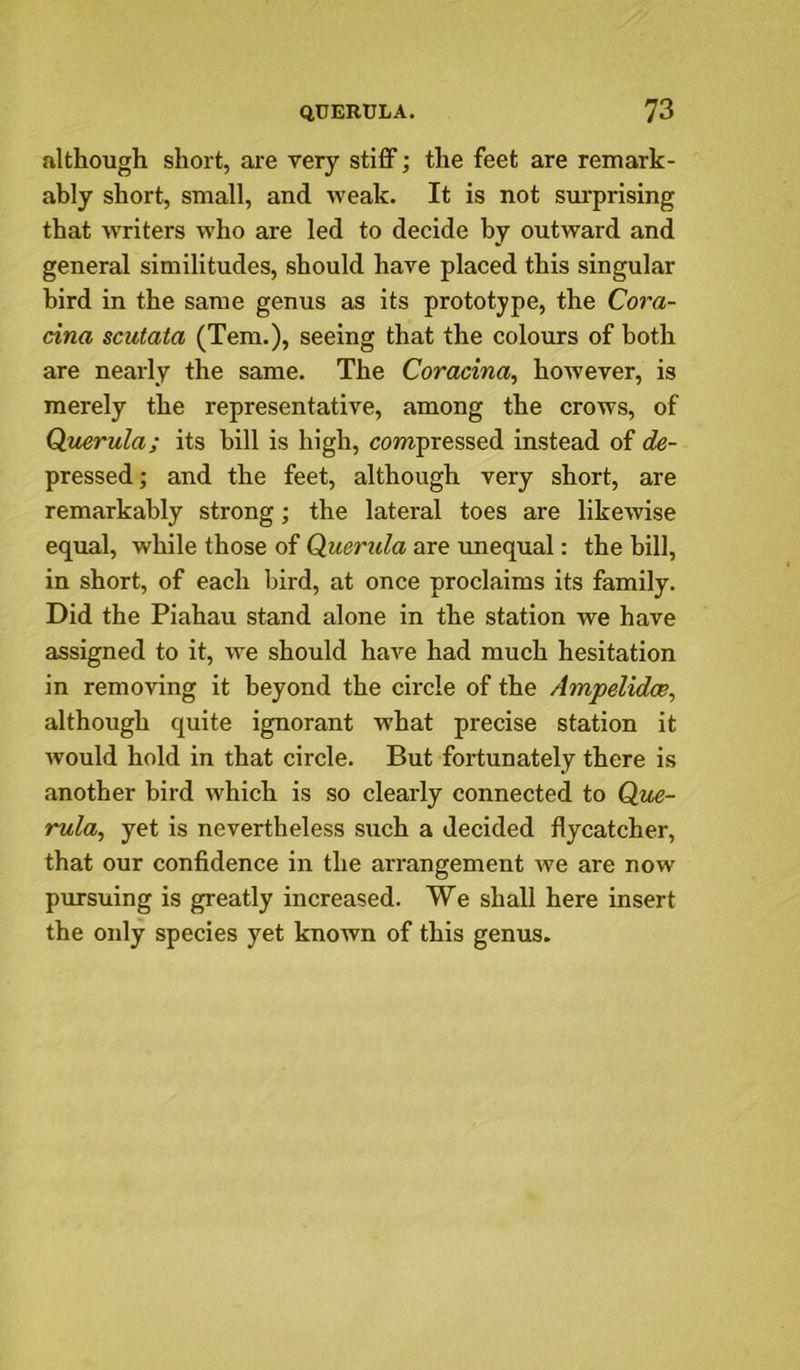 although short, are very stiff; the feet are remark- ably short, small, and weak. It is not surprising that WTiters who are led to decide by outward and general similitudes, should have placed this singular bird in the same genus as its prototype, the Cora- cina scutata (Tem.), seeing that the colours of both are nearly the same. The Coracina, hoAvever, is merely the representative, among the crows, of Qiierula; its bill is high, compressed instead of ex- pressed; and the feet, although very short, are remarkably strong; the lateral toes are likeAvise equal, while those of duerula are unequal: the bill, in short, of each bird, at once proclaims its family. Did the Piahau stand alone in the station we have assigned to it, w'e should have had much hesitation in removing it beyond the circle of the AmpelidcB, although quite ignorant what precise station it Avould hold in that circle. But fortunately there is another bird which is so clearly connected to Que- rula^ yet is nevertheless such a decided flycatcher, that our confidence in the arrangement Ave are now pursuing is greatly increased. We shall here insert the only species yet known of this genus.