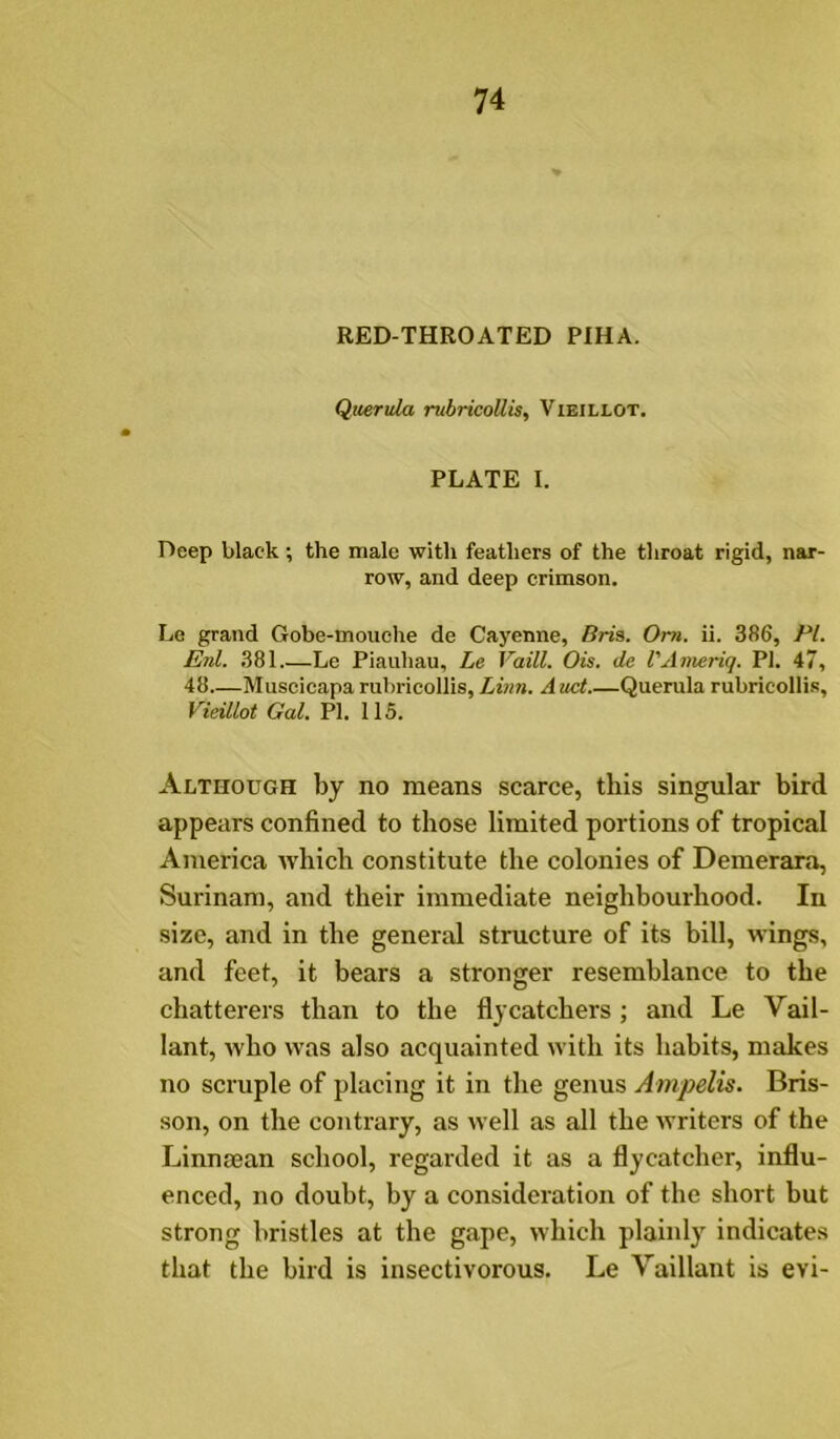 RED-THROATED PIHA. Querula nbricoUis, Vieillot. PLATE I. Deep black; the male with feathers of the throat rigid, nar- row, and deep crimson. Le grand Gobe-mouehe de Cayenne, Bris. Om. ii. 386, PI. Enl. 381.—Le Piauhau, Le Vaill. Ois. de I'Ameriq. PI. 47, 48 Muscicaparuhricollis,Linn, Aitct Querula rubrieollis, Vieillot Gal. PI. 115. Although by no means scarce, this singular bird appears confined to those limited portions of tropical America which constitute the colonies of Demerara, Surinam, and their immediate neighbourhood. In size, and in the general structure of its bill, wings, and feet, it bears a stronger resemblance to the chatterers than to the flycatchers ; and Le Vail- lant, who was also acquainted with its habits, makes no scruple of placing it in the genus Ampelis. Bris- son, on the contrary, as well as all the writers of the Linnajan school, regarded it as a flycatcher, influ- enced, no doubt, by a consideration of the short but strong bristles at the gape, which plainly indicates that the bird is insectivorous. Le Vaillant is evi-