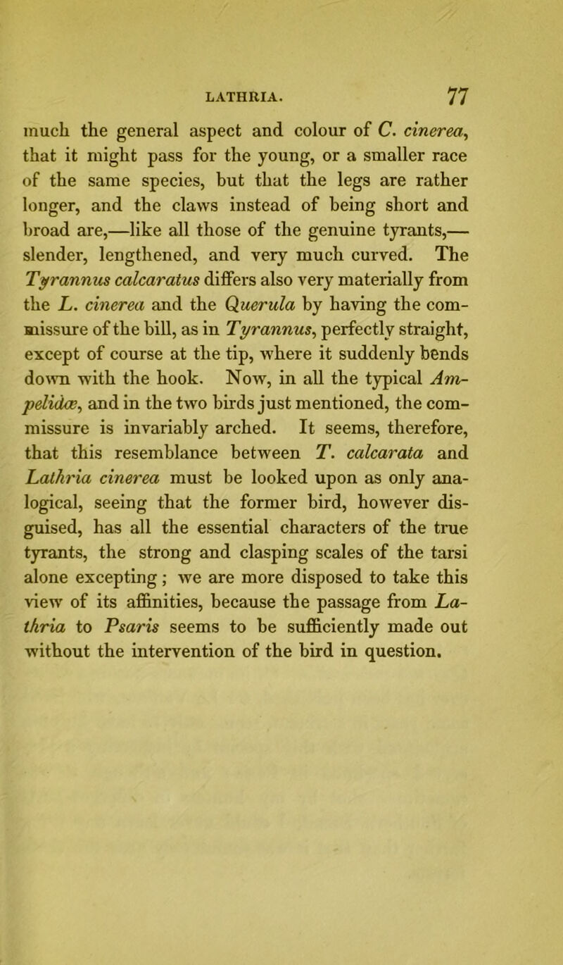 much the general aspect and colour of C. cinerea^ that it might pass for the young, or a smaller race of the same species, but that the legs are rather longer, and the claws instead of being short and broad are,—like all those of the genuine tyrants,— slender, lengthened, and very much curved. The Tyrannus calcaratus differs also very materially from the L. cinerea and the Querula by having the com- missure of the bill, as in Tyrannus, perfectly straight, except of course at the tip, where it suddenly bends do^vn with the hook. Now, in all the typical Am- pelidoe, and in the two birds just mentioned, the com- missure is invariably arched. It seems, therefore, that this resemblance between T. calcarata and Lathria cinerea must be looked upon as only ana- logical, seeing that the former bird, however dis- guised, has all the essential characters of the true tyrants, the strong and clasping scales of the tarsi alone excepting; we are more disposed to take this view of its affinities, because the passage from La- thria to Psaris seems to be sufficiently made out without the intervention of the bird in question.