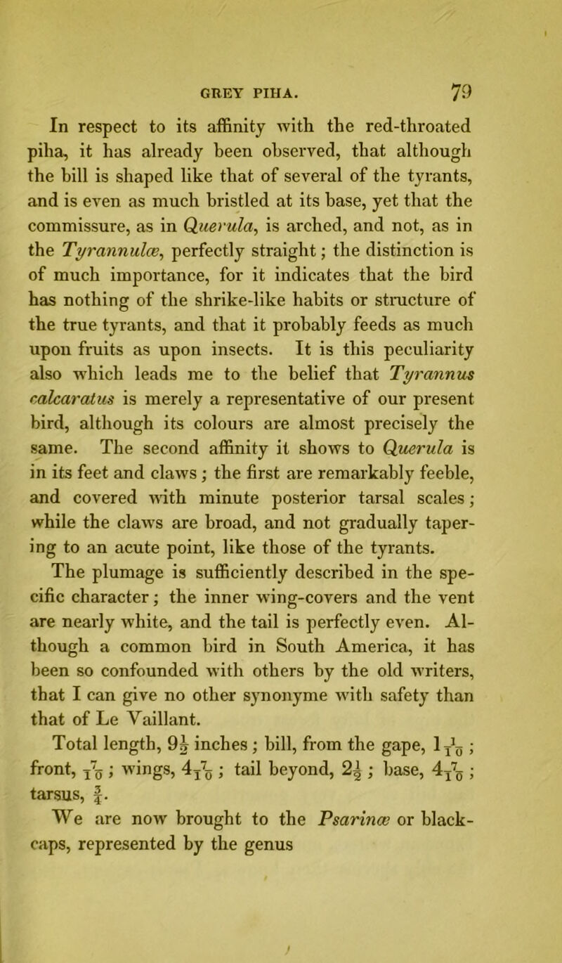 In respect to its affinity with the red-throated piha, it has already been observed, that although the bill is shaped like that of several of the tyrants, and is even as much bristled at its base, yet that the commissure, as in Querula, is arched, and not, as in the Tyrannulce, perfectly straight; the distinction is of much importance, for it indicates that the bird has nothing of the shrike-like habits or stnicture of the true tyrants, and that it probably feeds as much upon fruits as upon insects. It is this peculiarity also w'hich leads me to the belief that Tyrannus calcaralus is merely a representative of our present bird, although its colours are almost precisely the same. The second affinity it shows to Querula is in its feet and claws; the first are remarkably feeble, and covered mth minute posterior tarsal scales; while the claws are broad, and not gradually taper- ing to an acute point, like those of the tyrants. The plumage is sufficiently described in the spe- cific character; the inner wing-covers and the vent are nearly white, and the tail is perfectly even. Al- though a common bird in South America, it has been so confounded with others by the old writers, that I can give no other synonyme with safety than that of Le Vaillant. Total length, inches; bill, from the gape, ; front, ; wings, 4j\ ; tail beyond, 2^ ; base, ; tarsus, |. We are now brought to the Psarince or black- caps, represented by the genus