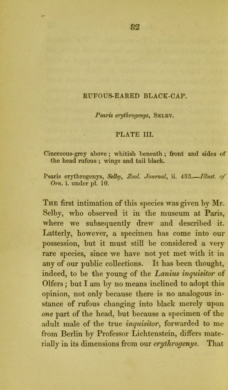 KUFOUS-EARED BLACK-CAP. Psai-is erythrogenys, Selby. PLATE III. Cinereous-grey above; whitish beneath ; front and sides of the head rufous ; wings and tail black. Psaris erythrogenys, Selby, Zool. Journal, ii. 483 Illust. of Om. i. under pi. 10. The first intimation of this species was given by Mr. Selby, who observed it in the museum at Paris, where we subsequently drew and described it. Latterly, however, a specimen has come into our possession, but it must still be considered a very rare species, since we have not yet met with it in any of our public collections. It has been thought, indeed, to be the young of the Lanim inquisitor of Olfers; but I am by no means inclined to adopt this opinion, not only because there is no analogous in- stance of rufous changing into black merely upon one part of the head, but because a specimen of the adult male of the true inquisitor, forwarded to me from Berlin by Professor Lichtenstein, differs mate- rially in its dimensions from our erythrogenys. That