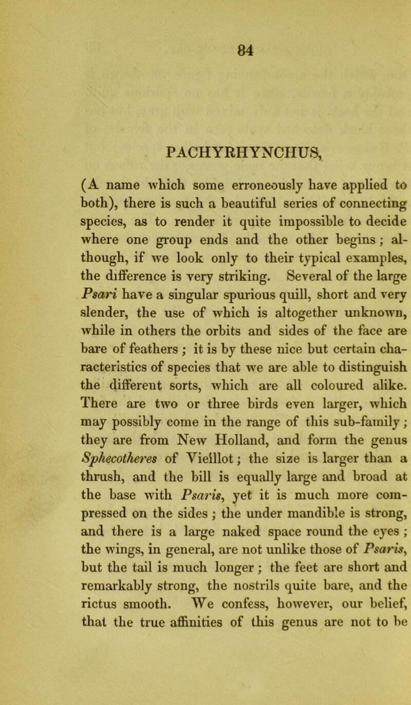 PACHYRHYNCHUS, (A name Avhich some erroneously hare applied to both), there is such a beautiful series of connecting species, as to render it quite impossible to decide where one group ends and the other begins; al- though, if we look only to their typical examples, the difference is very striking. Several of the large Psari have a singular spmious quill, short and very slender, the use of which is altogether unknown, while in others the orbits and sides of the face are bare of feathers ; it is by these nice but certain cha- racteristics of species that we are able to distinguish the different sorts, which are all coloured alike. There are two or three birds even larger, which may possibly come in the range of this sub-family; they are from New Holland, and form the genus Sphecotheres of Vieillot; the size is larger than a thrush, and the bill is equally large and broad at the base with Psaris, yet it is much more com- pressed on the sides; the under mandible is strong, and there is a large naked space round the eyes ; the wings, in general, are not unlike those of Psaris, but the tail is much longer; the feet are short and remarkably strong, the nostrils quite bare, and the rictus smooth. We confess, however, our belief, that the true affinities of this genus are not to be