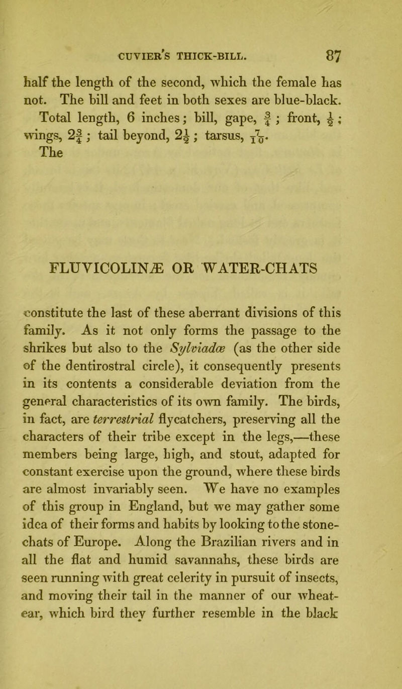 half the length of the second, Tvhich the female has not. The bill and feet in both sexes are blue-black. Total length, 6 inches; bill, gape, f ; front, ^; wings, 2|; tail beyond, ; tarsus, The FLUVICOLINiE OR WATER-CHATS constitute the last of these aberrant divisions of this family. As it not only forms the passage to the shrikes but also to the Sylviadoe (as the other side of the dentirostral circle), it consequently presents in its contents a considerable deviation from the general characteristics of its own family. The birds, in fact, are terrestrial flycatchers, preserving all the characters of their tribe except in the legs,—these members being large, high, and stout, adapted for constant exercise upon the ground, where these birds are almost invariably seen. We have no examples of this group in England, but we may gather some idea of their forms and habits by looking to the stone- chats of Europe. Along the Brazilian rivers and in all the flat and humid savannahs, these birds are seen running with great celerity in pursuit of insects, and moving their tail in the manner of our wheat- ear, which bird they further resemble in the black