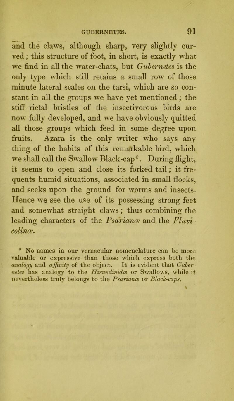 and the claws, although sharp, very slightly cur- ved ; this structure of foot, in short, is exactly what we find in all the water-chats, but Gulernetes is the only type which still retains a small row of those minute lateral scales on the tarsi, which are so con- stant in all the groups we have yet mentioned; the stiff rictal bristles of the insectivorous birds are now fully developed, and Ave have obviously quitted all those groups which feed in some degree upon fruits. Azara is the only w'riter who says any thing of the habits of this remarkable bird, which we shall call the SwalloAv Black-cap*. During flight, it seems to open and close its forked tail; it fre- quents humid situations, associated in small flocks, and seeks upon the ground for Avorms and insects. Hence we see the use of its possessing strong feet and someAvhat straight claws; thus combining the leading characters of the Psariance and the Fluvi colincc. * No names in our vernacular nomenclature can be more valuable or expressive than those ■which express both the analogy and affinity of the object. It is evident that Gvher netes has analogy to the Iliruyidinidce or SAvallov's, while it nevertheless truly belongs to the PsariantB or Black-caps.