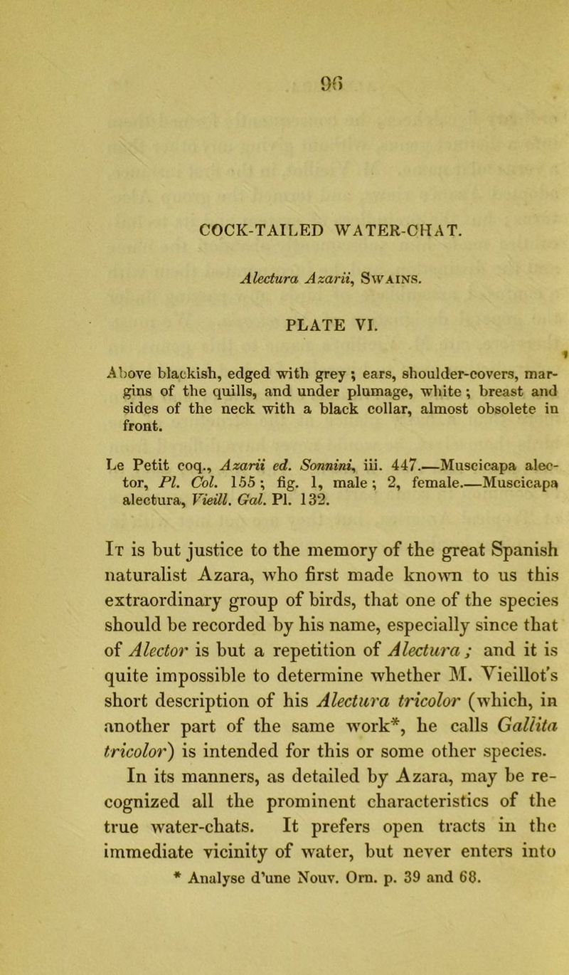 on COCK-TAILED WATER-CHAT. Alectura Azarii, Swains. PLATE VI. Above blackish, edged with grey ; ears, shoulder-covers, mar- gins of the quills, and under plumage, white; breast and sides of the neck with a black collar, almost obsolete in front. Le Petit coq., Azarii ed. Sonnini, iii. 447 Muscieapa alec- tor, PI. Col. 1.55 ; fig. 1, male; 2, female Muscieapa alectura, VieUl. Gal. PI. 132. It is but justice to the memory of the great Spanish naturalist Azara, who first made knotvn to us this extraordinary group of birds, that one of the species should be recorded by his name, especially since that of Alector is but a repetition of Alectura ; and it is quite impossible to determine whether M. Vieillot’s short description of his Alectura tricolor (which, in another part of the same work*, he calls Galiita tricolor) is intended for this or some other species. In its manners, as detailed by Azara, may be re- cognized all the prominent characteristics of the true water-chats. It prefers open tracts in the immediate vicinity of water, but never enters into * Analyse d’une Nouv. Om. p. 39 and 68.