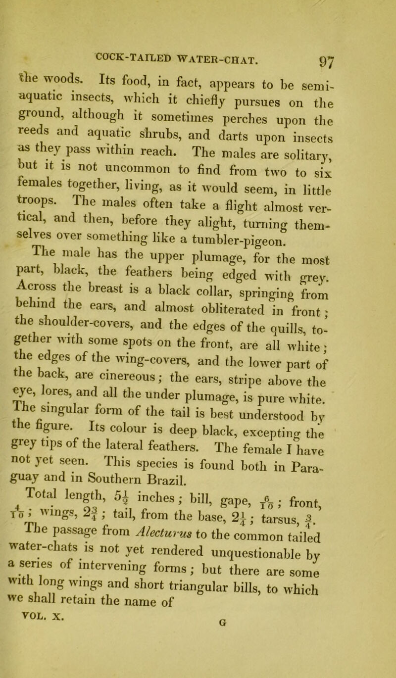 COCK-TAILED WATER-CIIAT. tlie woods. Its food, in fact, appears to be semi- aquatic insects, which it chiefly pursues on the ground, although it sometimes perches upon the reeds and aquatic shrubs, and darts upon insects ^ they pass within reach. The males are solitary, but It IS not uncommon to find from two to six females together, living, as it would seem, in little troops. The males often take a flight almost ver- tical, and then, before they alight, turning them- selves over something like a tumbler-pigeon. The male has the upper plumage, for the most part, black, the feathers being edged with grey. Across the breast is a black collar, springing from behind the ears, and almost obliterated in front; the shoulder-covers, and the edges of the quills, to- gether with some spots on the front, are all white; the edges of the wing-covers, and the lower part of the back, are cinereous; the ears, stripe above the eye, lores, and all the under plumage, is pure white. The singular fonn of the tail is best understood by e ^re. Its colour is deep black, excepting the grey tips of the lateral feathers. The female I have not yet seen. This species is found both in Para- gTiay and in Southern Brazil. ^ Total length, 6i inches; bill, gape, fy , To , ings, 2^ ; tail, from the base, 21; tarsus, I he passage from Alecturm to the common tailed water-chats is not yet rendered unquestionable by a series of intervening forms; but there are some with long wings and short triangular bills, to which we shall retain the name of VOL. X, G
