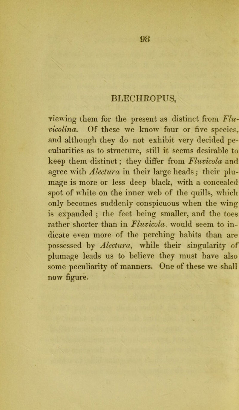BLECHROPUS, ■viewing them for the present as distinct from vicolina. Of these we know four or five species, and although they do not exhibit very decided pe- culiarities as to structure, still it seems desirable to keep them distinct; they differ from Fluvicola and agree w'ith Alectura in their large heads; their plu- mage is more or less deep black, with a concealed spot of white on the inner web of the quills, which only becomes suddenly conspicuous w’hen the wing is expanded ; the feet being smaller, and the toes rather shorter than in Fluvicola. would seem to in- dicate even more of the perching habits than are possessed by Alectura., while their singularity of plumage leads us to believe they must have also some peculiarity of manners. One of these we shall now figure.