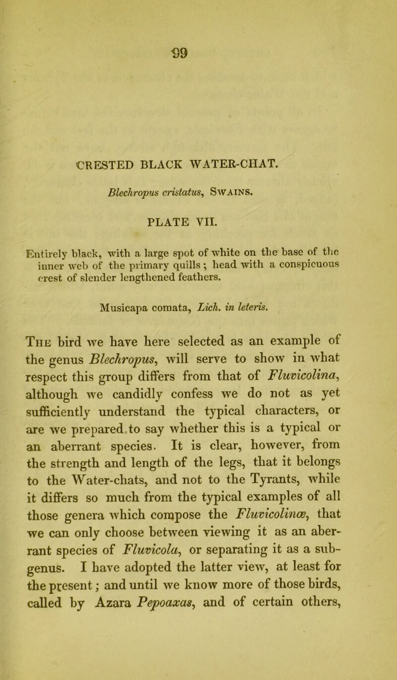 Blechropus cristatus, Swains. PLATE VII. Entirely black, with a large spot of white on the base of tlio inner web of the primary quills ; head with a conspicuous crest of slender lengthened feathers. Musicapa comata, Lich. in Uteris. The bird we have here selected as an example of the genus Blechropus., will serve to show in what respect this group differs from that of Fluvicolina, although we candidly confess we do not as yet sufficiently understand the typical characters, or are we prepared, to say whether this is a typical or an aberrant species. It is clear, however, from the strength and length of the legs, that it belongs to the Water-chats, and not to the Tyrants, while it differs so much from the typical examples of all those genera which compose the Fluvicolmce, that we can only choose between viewing it as an aber- rant species of Fluvicola, or separating it as a sub- genus. I have adopted the latter view, at least for the present; and until we know more of those birds, called by Azara Pepoaxas, and of certain others.