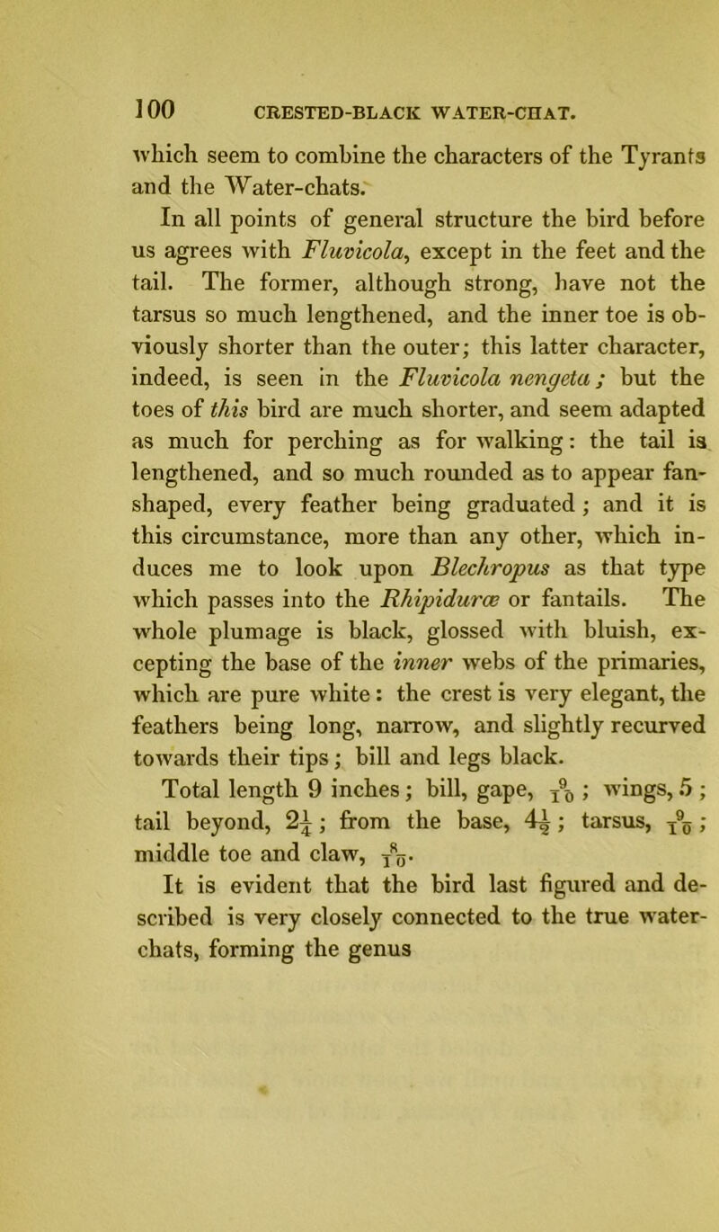 Avhich seem to combine the characters of the Tyrants and the Water-chats. In all points of general structure the bird before us agrees with Fluvicola, except in the feet and the tail. The former, although strong, have not the tarsus so much lengthened, and the inner toe is oh- viously shorter than the outer; this latter character, indeed, is seen in the Fluvicola nengeta; but the toes of this bird are much shorter, and seem adapted as much for perching as for Avalking; the tail ia lengthened, and so much rounded as to appear fan- shaped, every feather being graduated ; and it is this circumstance, more than any other, which in- duces me to look upon Blechropus as that type which passes into the Rhipidurce or fantails. The whole plumage is hlack, glossed with bluish, ex- cepting the base of the inner wehs of the primaries, which are pure white: the crest is very elegant, the feathers being long, narrow, and slightly recurved towards their tips •, hill and legs black. Total length 9 inches; hill, gape, ; wings, .5 ; tail beyond, ; from the base, 4^; tarsus, ; middle toe and claw, /g. It is evident that the bird last figured and de- scribed is very closely connected to the true water- chats, forming the genus