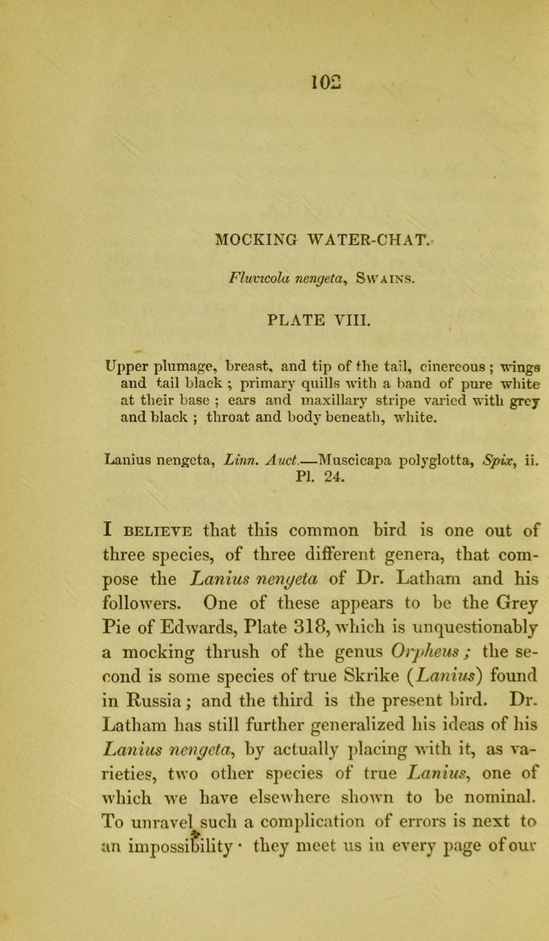 MOCKING WATER-CHAT. Fluvicola nengeta, Swains. PLATE VIII. ITpper plumage, breast, and tip of the tail, cinereous; wings and tail black ; primary quills with a band of pure white at their base ; ears and maxillary stripe varied with grey and black ; throat and body beneath, wdiite. Lanius nengeta, Linn. Auct.—Musclcapa polyglotta, Spix, ii. I BELIEVE that this common bird is one out of three species, of three different genera, that com- pose the Lanius nmyeta of Dr. Latham and his followers. One of these appears to he the Grey Pie of Edwards, Plate 318, which is unquestionably a mocking thrush of the genus Oiyheus; the se- cond is some species of true Skrike (Lanius) found in Russia; and the third is the present bird. Dr. Latham has still further generalized his ideas of his Laniics nengeta., by actually ]dacing with it, as va- rieties, two other species of true Lanius, one of which we have elsewhere shonn to he nominal. To unravel such a comjdication of errors is next to an• they meet us in every page of our PI. 24.