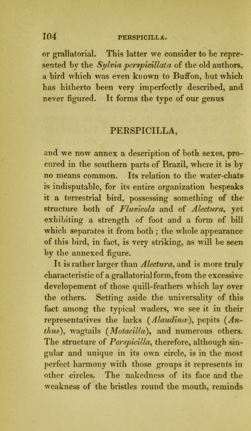 or grallatorial. This latter we consider to he repre- sented by the Silvia perspicillata of the old authors, a bird which was even known to Buff on, but which has hitherto been very imperfectly described, and never figured. It forms the type of our genus PERSPICILLA, and we noAv annex a description of both sexes, pro- cured in the southern parts of Brazil, where it is by no means common. Its relation to the water-chats is indisputable, for its entire organization bespeaks it a terrestrial bird, possessing something of the structure both of Fluvicola and of Alectura, yet exhibiting a strength of foot and a form of bill which separates it from both ; the whole appearance of this bird, in fact, is very striking, as will be seen by the annexed figure. It is l ather larger than Alectura, and is more truly characteristic of a grallatorial form, from the excessive developement of those quill-feathers which lay over the others. Setting aside the universality of this fact among the typical waders, we see it in their representatives the larks {Alaudiruv), pepits (An- thus), wagtails (Motacilla), and numerous others. The structure of Perstpicilla, therefore, although sin- gular and unique in its own circle, is in the most perfect harmony with those groups it represents in other circles. The nakedness of its face and the weakness of the bristles round the mouth, reminds