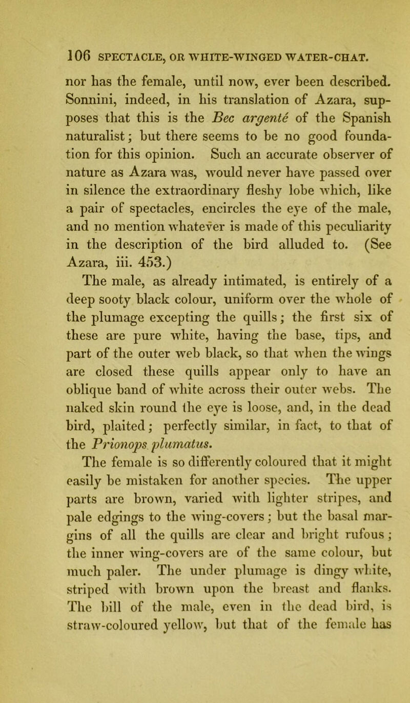 nor has the female, until now, ever been described- Sonnini, indeed, in his translation of Azara, sup- poses that this is the Bee argente of the Spanish naturalist; hut there seems to be no good founda- tion for this opinion. Such an accurate observer of nature as Azara was, would never have passed over in silence the extraordinary fleshy lobe which, like a pair of spectacles, encircles the eye of the male, and no mention whatever is made of this peculiarity in the description of the bird alluded to. (See Azara, iii. 4.53.) The male, as already intimated, is entirely of a deep sooty black colour, uniform over the w'hole of the plumage excepting the quills; the first six of these are pure white, having the base, tips, and part of the outer web black, so that when the wings are closed these quills appear only to have an oblique band of white across their outer webs. The naked skin round the eye is loose, and, in the dead bird, plaited; perfectly similar, in fact, to that of the Prionops flumatm. The female is so diflPerently coloured that it might easily be mistaken for another species. The upper parts are brown, varied with lighter stripes, and pale edgings to the Aving-covers; but the basal mar- gins of all the quills are clear and bright rufous; the inner Aving-covers are of the same colour, but much paler. The under plumage is dingy Avhite, striped Avith brown upon the breast and flanks. The bill of the male, even in the dead bird, is straw-coloured yelloAA', but that of the female has