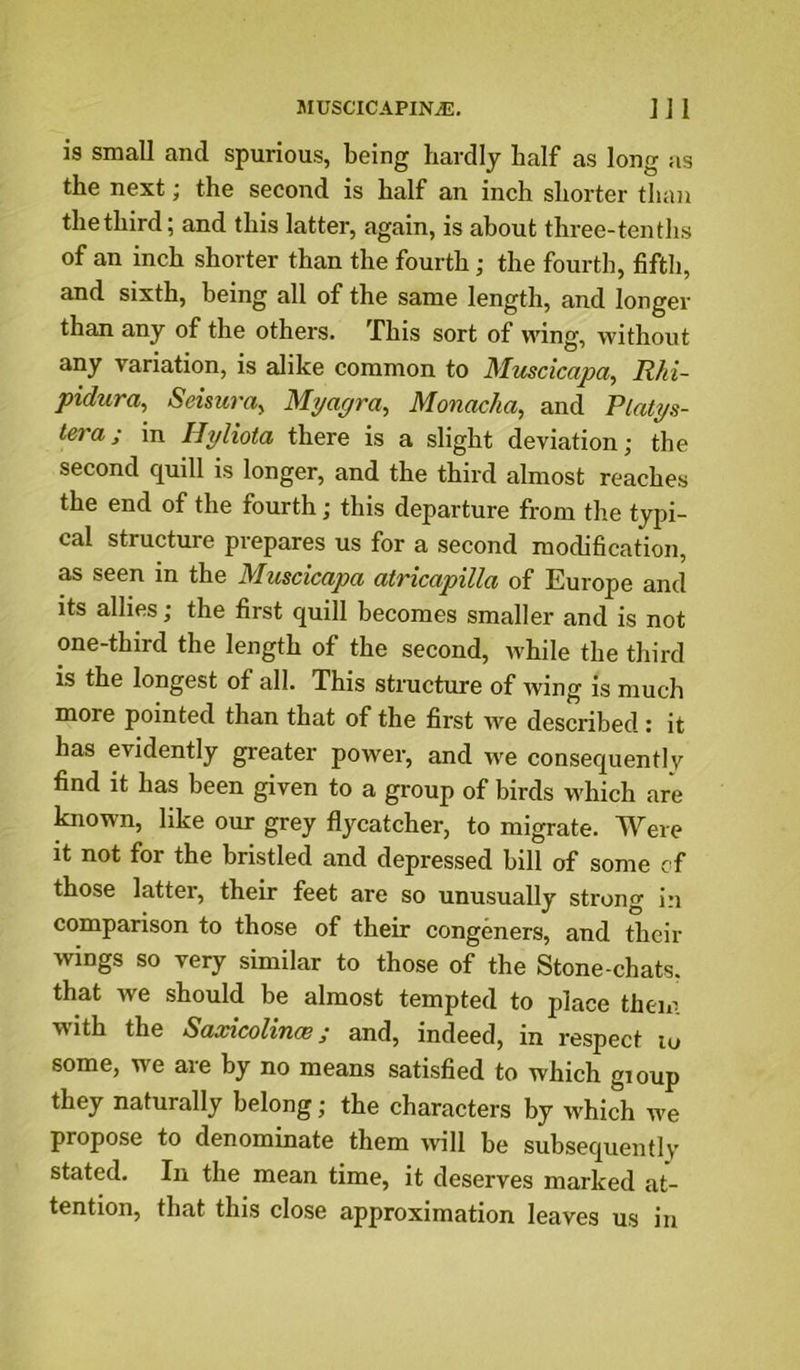 is small and spurious, being hardly half as long as the next; the second is half an inch shorter than thethird; and this latter, again, is about three-tenths of an inch shorter than the fourth; the fourth, fifth, and sixth, being all of the same length, and longer than any of the others. This sort of wing, without any variation, is alike common to Muscicapa, Rhi- pidura, Seisura^ Myagra, Monacha, and Platys- lera; in Hyliota there is a slight deviation; the second quill is longer, and the third almost reaches the end of the fourth; this departure from the typi- cal structure prepares us for a second modification, as seen in the Muscicapa atricapilla of Europe and its allies; the first quill becomes smaller and is not one-third the length of the second, while the third is the longest of all. This structure of wing Is much more pointed than that of the first we described : it has evidently greater power, and we consequently find it has been given to a group of birds which are known, like our grey flycatcher, to migrate. Were it not for the bristled and depressed bill of some cf those latter, their feet are so unusually strong i.n comparison to those of their congeners, and their wings so very similar to those of the Stone-chats, that we should be almost tempted to place them with the Saxicolince; and, indeed, in respect lo some, we are by no means satisfied to which gioup they naturally belong; the characters by W'hich we propose to denominate them \vill be subsequently stated. In the mean time, it deserves marked at- tention, that this close approximation leaves us in