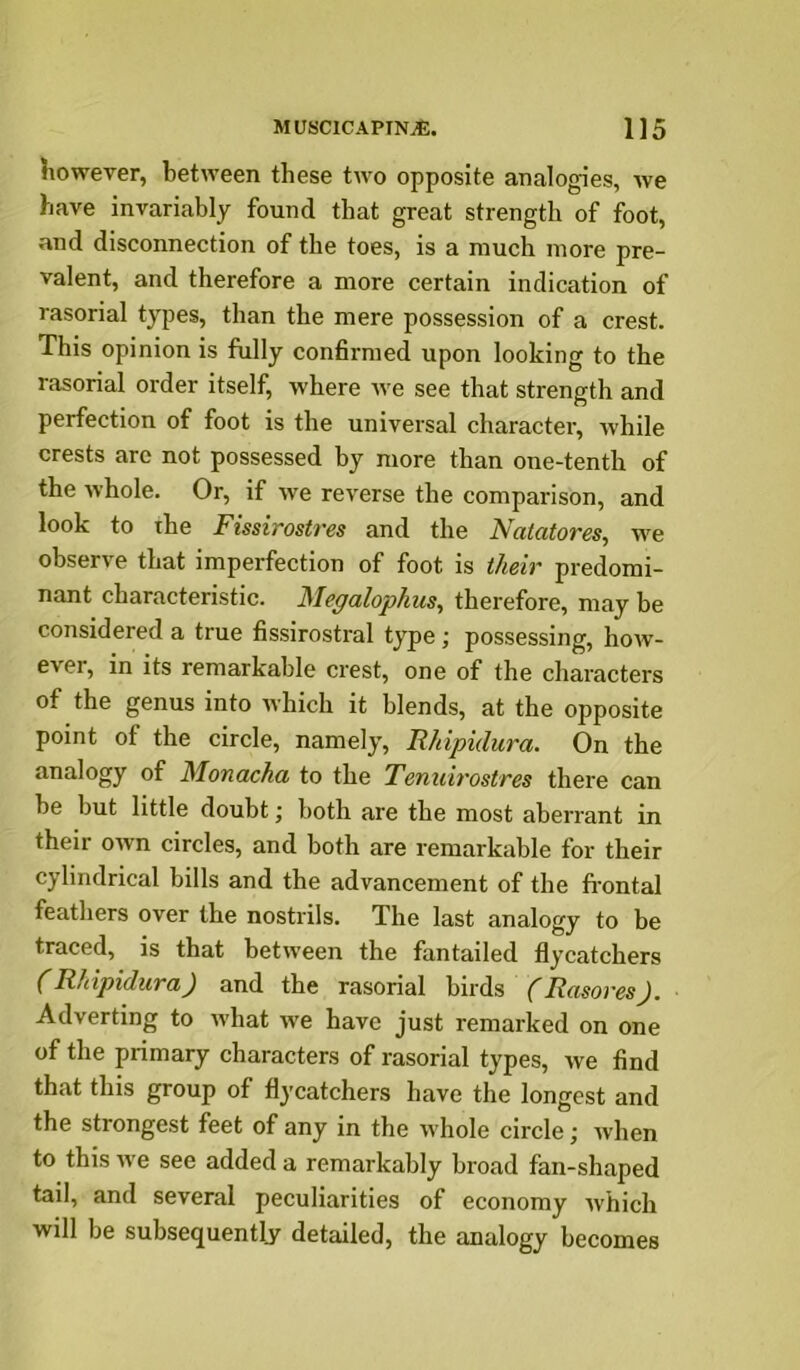 however, between these two opposite analogies, we have invariably found that great strength of foot, and disconnection of the toes, is a much more pre- valent, and therefore a more certain indication of rasorial types, than the mere possession of a crest. This opinion is fully confirmed upon looking to the rasorial order itself, where we see that strength and perfection of foot is the universal character, while crests arc not possessed by more than one-tenth of the whole. Or, if we reverse the comparison, and look to the Fissirostres and the Naiatores, we observe that imperfection of foot is their predomi- nant characteristic. Meffalophus, therefore, may be considered a true fissirostral type; possessing, hoAv- ever, in its remarkable crest, one of the characters of the genus into which it blends, at the opposite point of the circle, namely, Rhipidura. On the analogy of Monacha to the Tenuh'ostres there can be but little doubt; both are the most aberrant in their OAvn circles, and both are remarkable for their cylindrical bills and the advancement of the fi-ontal feathers over the nostrils. The last analogy to be traced, is that betAveen the fantailed flycatchers (Rhipidura) and the rasorial birds (RasoresJ. Adverting to Avbat we have just remarked on one of the primary characters of rasorial types, we find that this group of flycatchers have the longest and the strongest feet of any in the AA'hole circle Avhen to this Ave see added a remarkably broad fan-shaped tail, and several peculiarities of economy Avhich will be subsequently detailed, the analogy becomes