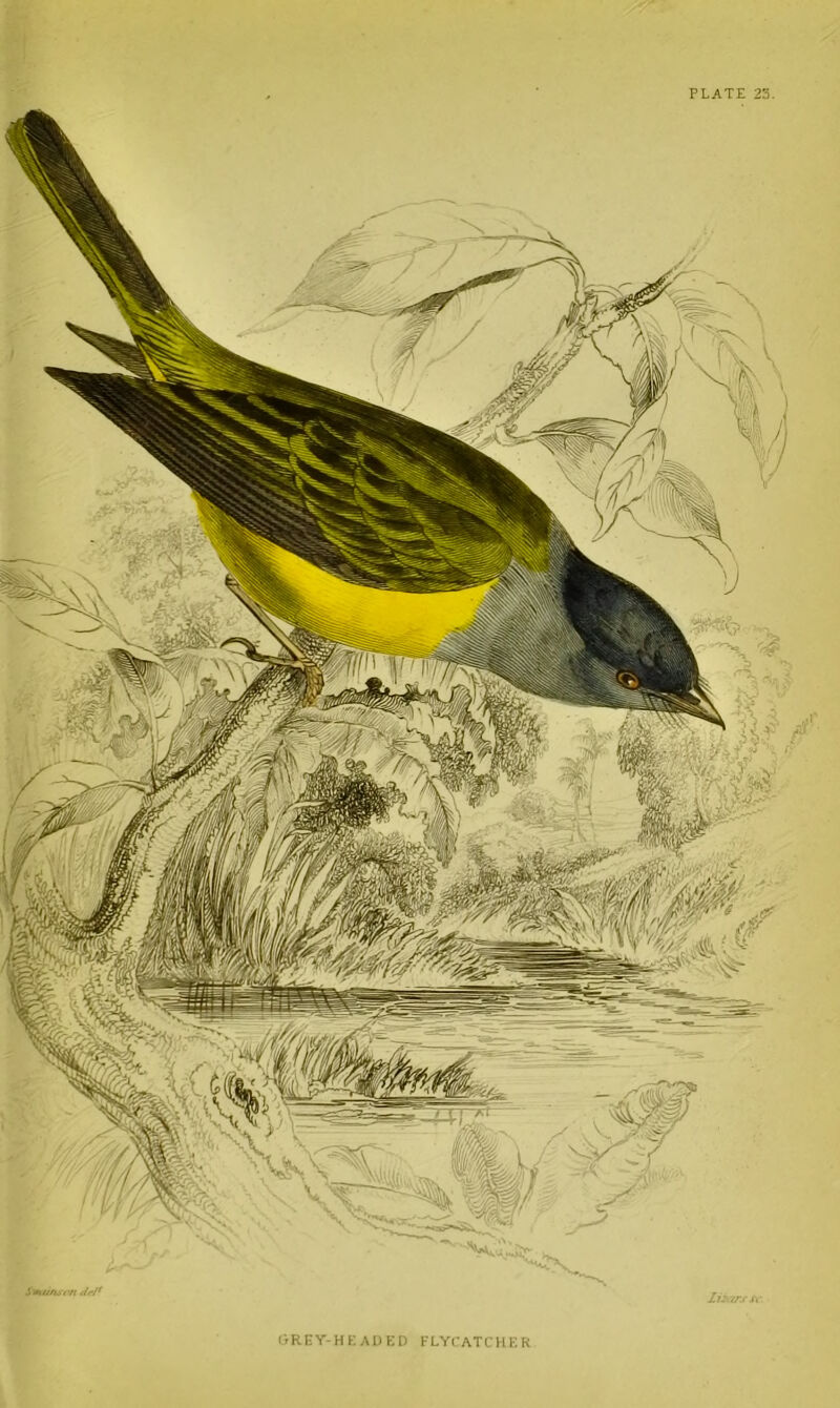 (> R E Y- H K A1) E D F LYCAT L H K K