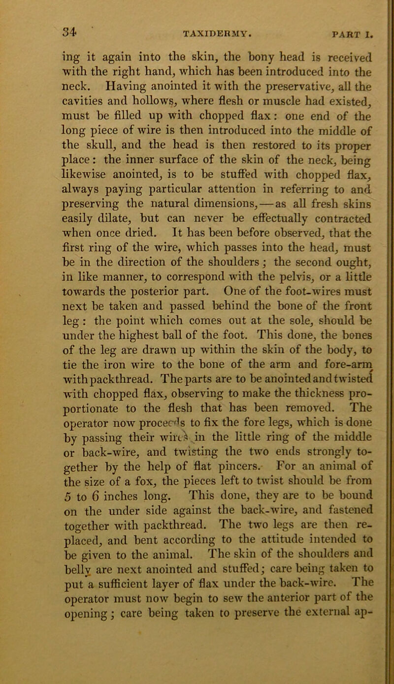 ing it again into the skin, the bony head is received with the right hand, which has been introduced into the neck. Having anointed it with the preservative, all the cavities and hoUows, where flesh or muscle had existed, must be filled up with chopped flax: one end of the long piece of wire is then introduced into the middle of the skull, and the head is then restored to its proper place: the inner surface of the skin of the neck, being likewise anointed, is to be stuffed with chopped flax, always paying particular attention in referring to and, preserving the natural dimensions, — as aU fresh skins easily dilate, but can never be effectually contracted when once dried. It has been before observed, that the first ring of the wire, which passes into the head, must he in the direction of the shoulders; the second ought, in like manner, to correspond with the pelvis, or a little towards the posterior part. One of the foot-wires must next he taken and passed behind the bone of the front leg : the point which comes out at the sole, should be under the highest ball of the foot. This done, the bones of the leg are drawn up within the skin of the body, to tie the iron wire to the bone of the arm and fore-ann with packthread. The parts are to be anointed and twisted with chopped flax, observing to make the thickness pro- portionate to the flesh that has been removed. The operator now proceeds to fix the fore legs, which is done by passing their wiri^ ,in the little ring of the middle or back-wire, and twisting the two ends strongly to- gether by the help of flat pincers.- For an animal of the size of a fox, the pieces left to twist should be from 5 to 6 inches long. This done, they are to be bound on the under side against the back-wire, and fastened together with packthread. The two legs are then re- placed, and bent according to the attitude intended to be given to the animal. The skin of the shoulders and belly are next anointed and stuffed; care being taken to put a sufficient layer of flax under the back-wire. The operator must now begin to sew the anterior part of the opening; care being taken to preserve the external ap-