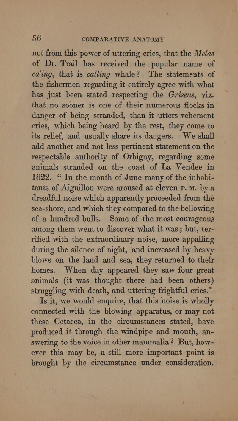 not from this power of uttering cries, that the Meas of Dr. Trail has received the popular name of caing, that is calling whale? The statements of the fishermen regarding it entirely agree with what has just been stated respecting the Griseus, viz. that no sooner is one of their numerous flocks in danger of being stranded, than it utters vehement cries, which being heard by the rest, they come to its relief, and usually share its dangers. We shall add another and not less pertinent statement on the respectable authority of Orbigny, regarding some animals stranded on the coast of La Vendee in 1822. “ In the month of June many of the inhabi- tants of Aiguillon were aroused at eleven Pp. M. by a dreadful noise which apparently proceeded from the sea-shore, and which they compared to the bellowing of a hundred bulls. Some of the most courageous among them went to discover what it was; but, ter- rified with the extraordinary noise, more appalling during the silence of night, and increased by heavy blows on the land and sea, they returned to their homes. When day appeared they saw four great animals (it was thought there had been others) struggling with death, and uttering fightful cries.” Is it, we would enquire, that this noise is wholly connected with the blowing apparatus, or may not these Cetacea, in the circumstances stated, have _ produced it through the windpipe and mouth, an- swering to the voice in other mammalia? But, how- ever this may be, a still more important point is brought by the circumstance under consideration.