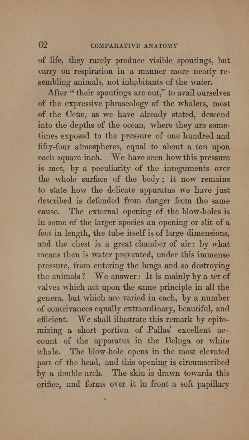 of life, they rarely produce visible spoutings, but carry on respiration in a manner more nearly re- sembling animals, not inhabitants of the water. After “ their spoutings are out,” to avail ourselves of the expressive phraseology of the whalers, most of the Cete, as we have already stated, descend into the depths of the ocean, where they are some- times exposed to the pressure of one hundred and fifty-four atmospheres, equal to about a ton upon each square inch. We have seen how this pressure is met, by a peculiarity of the integuments over the whole surface of the body; it now remains to state how the delicate apparatus we have just described is defended from danger from the same cause. The external opening of the blow-holes is in some of the larger species an opening or slit of a foot in length, the tube itself is of large dimensions, and the chest is a great chamber of air: by what means then is water prevented, under this immense pressure, from entering the lungs and so destroying the animals? We answer: It is mainly bya set of valves which act upon the same principle in all the genera, but which are varied in each, by a number of contrivances equally extraordinary, beautiful, and efficient. We shall illustrate this remark by epito- mizing a short portion of Pallas’ excellent ac- count of the apparatus in the Beluga or white whale. The blow-hole opens in the most elevated part of the head, and this opening is circumscribed by a double arch. The skin is drawn towards this orifice, and forms over it in front a soft papillary