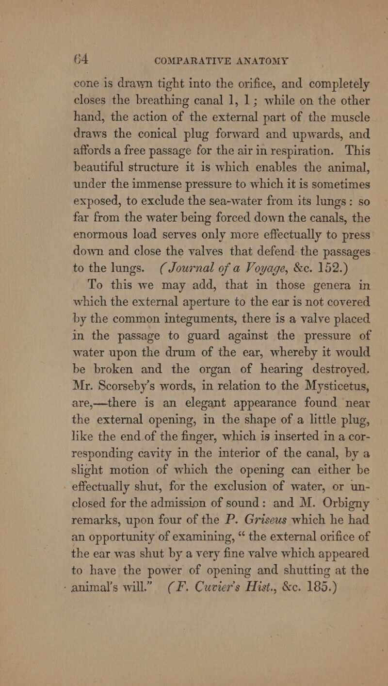 cone is drawn tight into the orifice, and completely closes the breathing canal 1, 1; while on the other hand, the action of the external part of the muscle draws the conical plug forward and upwards, and affords a free passage for the air in respiration. This beautiful structure it 1s which enables the animal, under the immense pressure to which it is sometimes exposed, to exclude the sea-water from its lungs: so far from the water being forced down the canals, the enormous load serves only more effectually to press down and close the valves that defend the passages to the lungs. (Journal of a Voyage, &amp;c. 152.) To this we may add, that in those genera in which the external aperture to the ear is not covered by the common integuments, there is a valve placed in the passage to guard against the pressure of water upon the drum of the ear, whereby it would be broken and the organ of hearing destroyed. Mr. Scorseby’s words, in relation to the Mysticetus, are,—there is an elegant appearance found near the external opening, in the shape of a little plug, like the end of the finger, which is inserted in a cor- responding cavity in the interior of the canal, by a slight motion of which the opening can either be effectually shut, for the exclusion of water, or un- closed for the admission of sound: and M. Orbigny ~ remarks, upon four of the P. Griseus which he had an opportunity of examining, “ the external orifice of the ear was shut by a very fine valve which appeared to have the power of opening and shutting at the -animal’s will.” (F. Cuvier’s Hist., &amp;c. 185.)