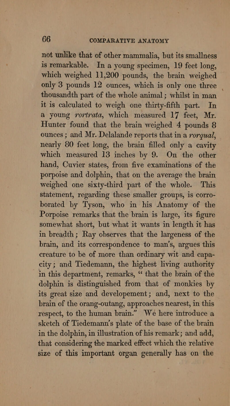 not unlike that of other mammalia, but its smallness is remarkable. In a young specimen, 19 feet long, which weighed 11,200 pounds, the brain weighed only 3 pounds 12 ounces, which is only one three thousandth part of the whole animal ; whilst in man it is calculated to weigh one thirty-fifth part. In a young rortrata, which measured 17 feet, Mr. Hunter found that the brain weighed 4 pounds 8 ounces ; and Mr. Delalande reports that in a rorqual, nearly 80 feet long, the brain filled only a cavity which measured 13 inches by 9. On the other hand, Cuvier states, from five examinations of the porpoise and dolphin, that on the average the brain weighed one sixty-third part of the whole. This statement, regarding these smaller groups, is corro- borated by Tyson, who in his Anatomy of the Porpoise remarks that the brain is large, its figure somewhat short, but what it wants in length it has in breadth; Ray observes that the largeness of the brain, and its correspondence to man’s, argues this creature to be of more than ordinary wit and capa- city; and Tiedemann, the highest living authority in this department, remarks, “ that the brain of the dolphin is distinguished from that of monkies by its great size and developement; and, next to the brain of the orang-outang, approaches nearest, in this respect, to the human brain.” We here introduce a sketch of Tiedemann’s plate of the base of the brain in the dolphin, in illustration of his remark; and add, that considering the marked effect which the relative size of this important organ generally has on the