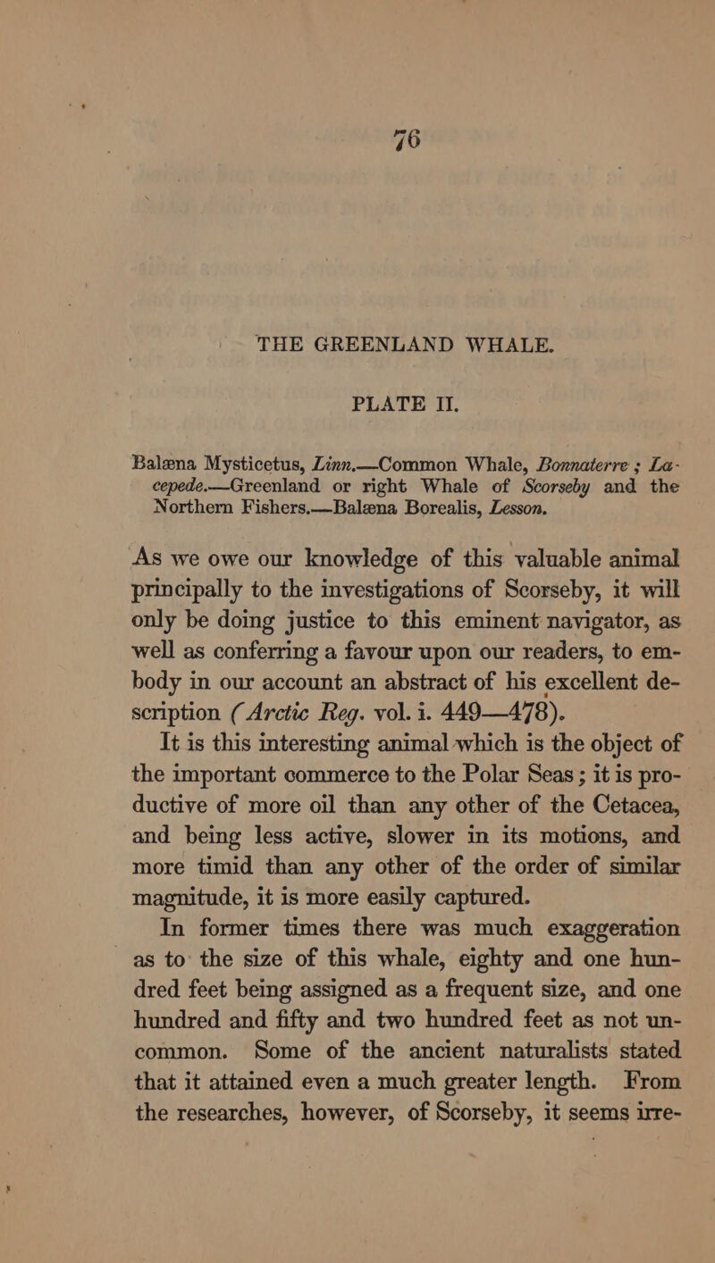 THE GREENLAND WHALE. PLATE II. Balena Mysticetus, Zinn.—Common Whale, Bonnaterre ; La- cepede.—Greenland or right Whale of Scorseby and the Northern Fishers.—Balena Borealis, Lesson. As we owe our knowledge of this valuable animal principally to the investigations of Scorseby, it will only be doing justice to this eminent navigator, as well as conferring a favour upon our readers, to em- body in our account an abstract of his excellent de- scription (Arctic Reg. vol. i. 449-478). It is this interesting animal which is the object of the important commerce to the Polar Seas ; it is pro- ductive of more oil than any other of the Cetacea, and being less active, slower in its motions, and more timid than any other of the order of similar magnitude, it is more easily captured. In former times there was much exaggeration as to the size of this whale, eighty and one hun- dred feet being assigned as a frequent size, and one hundred and fifty and two hundred feet as not un- common. Some of the ancient naturalists stated that it attained even a much greater length. From the researches, however, of Scorseby, it seems irre-