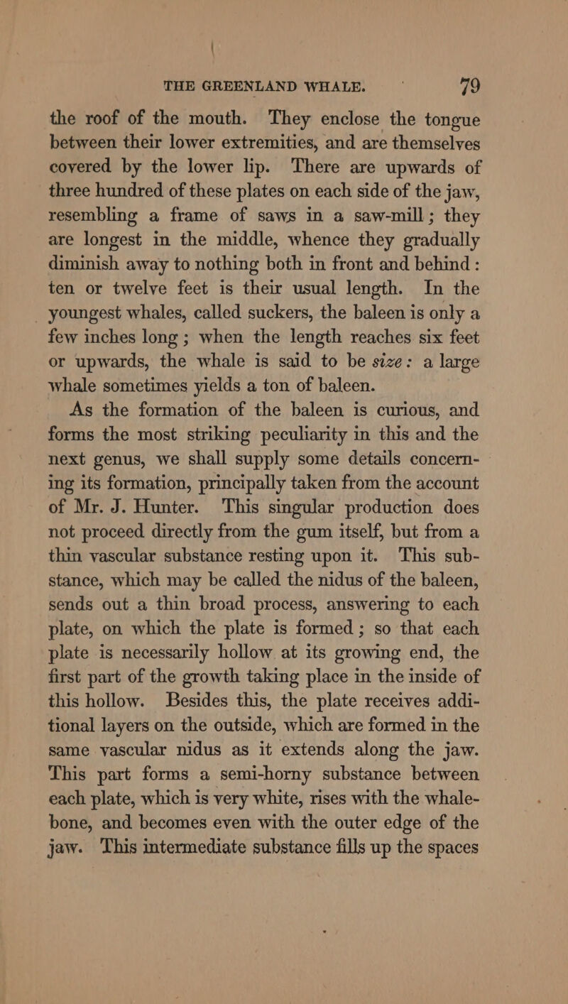 ' THE GREENLAND WHALE. 79 the roof of the mouth. They enclose the tongue between their lower extremities, and are themselves covered by the lower lip. There are upwards of three hundred of these plates on each side of the jaw, resembling a frame of saws in a saw-mill; they are longest in the middle, whence they gradually diminish away to nothing both in front and behind : ten or twelve feet is their usual length. In the _ youngest whales, called suckers, the baleen is only a few inches long ; when the length reaches six feet or upwards, the whale is said to be size: a large whale sometimes yields a ton of baleen. As the formation of the baleen is curious, and forms the most striking peculiarity in this and the next genus, we shall supply some details concern- ing its formation, principally taken from the account of Mr. J. Hunter. This singular production does not proceed directly from the gum itself, but from a thin vascular substance resting upon it. This sub- stance, which may be called the nidus of the baleen, sends out a thin broad process, answering to each plate, on which the plate is formed; so that each plate is necessarily hollow at its growing end, the first part of the growth taking place in the inside of this hollow. Besides this, the plate receives addi- tional layers on the outside, which are formed in the same vascular nidus as it extends along the jaw. This part forms a semi-horny substance between each plate, which is very white, rises with the whale- bone, and becomes even with the outer edge of the jaw. This intermediate substance fills up the spaces