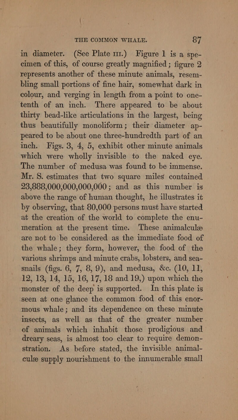 ' THE COMMON WHALE. 87 in diameter. (See Plate m1.) Figure 1 is a spe- cimen of this, of course greatly magnified ; figure 2 represents another of these minute animals, resem- bling small portions of fine hair, somewhat dark in colour, and verging in length from a point to one- tenth of an inch. There appeared to be about thirty bead-like articulations in the largest, being thus beautifully monoliform; their diameter ap- - peared to be about one three-hundredth part of an inch. Figs. 3, 4, 5, exhibit other minute animals which were wholly invisible to the naked eye. The number of medusa was found to be immense. Mr. 8. estimates that two square miles contained 23,888,000,000,000,000 ; and as this number is above the range of human thought, he illustrates it by observing, that 80,000 persons must have started at the creation of the world to complete the enu- meration at the present time. These animalcule are not to be considered as the immediate food of the whale; they form, however, the food of the various shrimps and minute crabs, lobsters, and sea- _ snails (figs. 6, 7, 8, 9), and medusa, &amp;c. (10, 11, 12, 13, 14, 15, 16, 17, 18 and 19,) upon which the monster of the deep is supported. In this plate is seen at one glance the common food of this enor- mous whale; and its dependence on these minute insects, as well as that of the greater number. of animals which inhabit those prodigious and dreary seas, is almost too clear to require demon- stration. As before stated, the invisible animal- cule supply nourishment to the innumerable small