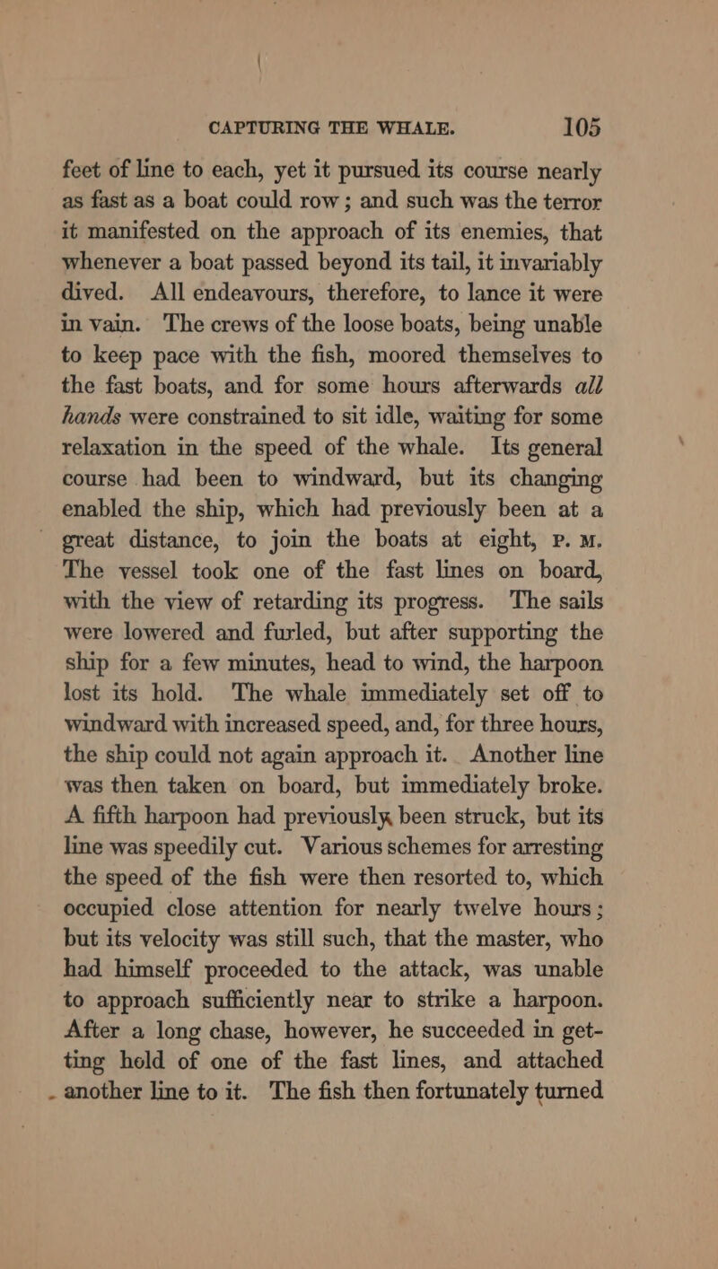 feet of line to each, yet it pursued its course nearly as fast as a boat could row; and such was the terror it manifested on the approach of its enemies, that whenever a boat passed beyond its tail, it invariably dived. All endeavours, therefore, to lance it were in vain. The crews of the loose boats, being unable to keep pace with the fish, moored themselves to the fast boats, and for some hours afterwards all hands were constrained to sit idle, waiting for some relaxation in the speed of the whale. Its general course had been to windward, but its changing enabled the ship, which had previously been at a - great distance, to join the boats at eight, Pp. M. The vessel took one of the fast lines on board, with the view of retarding its progress. The sails were lowered and furled, but after supporting the ship for a few minutes, head to wind, the harpoon lost its hold. The whale immediately set off to windward with increased speed, and, for three hours, the ship could not again approach it. Another line was then taken on board, but immediately broke. A fifth harpoon had previously been struck, but its line was speedily cut. Various schemes for arresting the speed of the fish were then resorted to, which occupied close attention for nearly twelve hours ; but its velocity was still such, that the master, who had himself proceeded to the attack, was unable to approach sufficiently near to strike a harpoon. After a long chase, however, he succeeded in get- ting hold of one of the fast lines, and attached . another line to it. The fish then fortunately turned