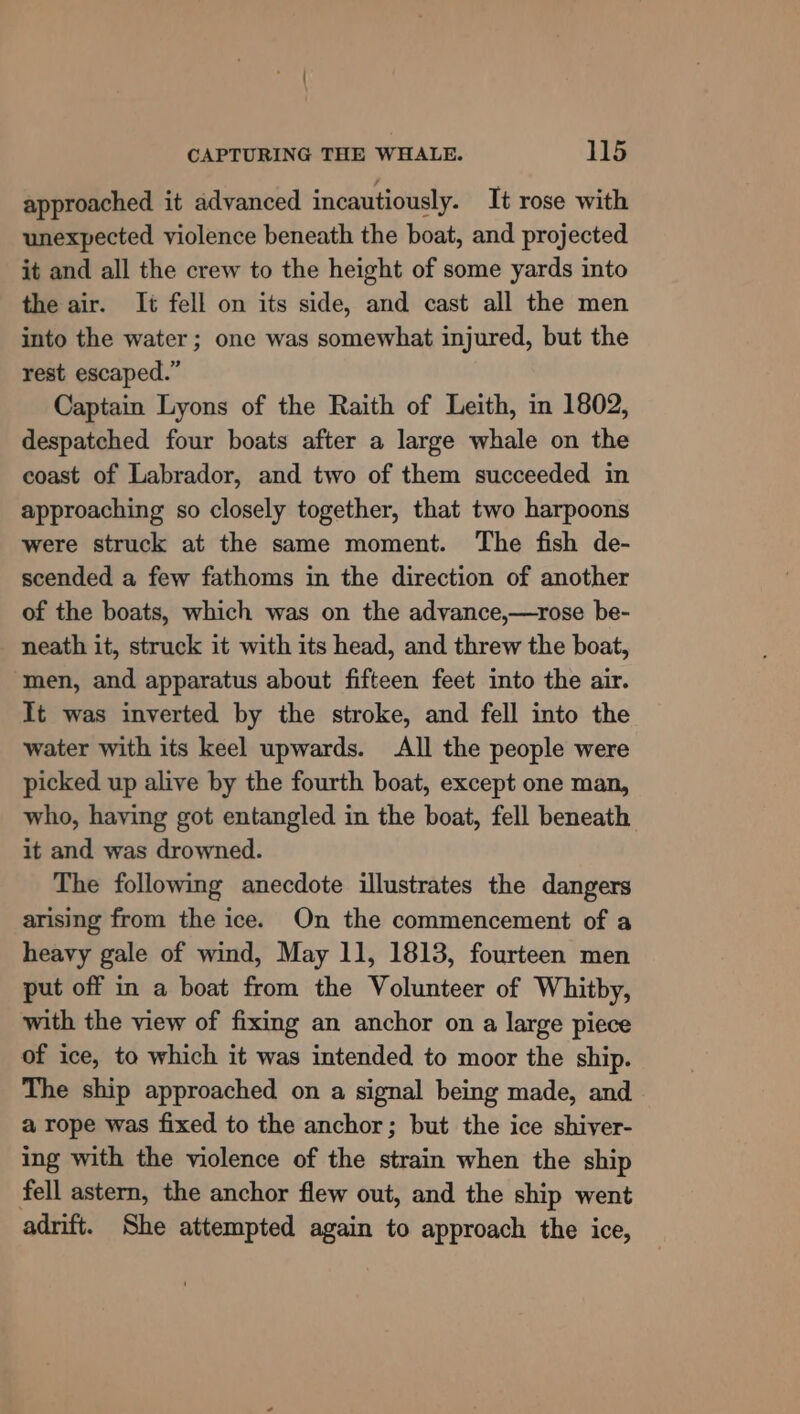 approached it advanced incautiously. It rose with unexpected violence beneath the boat, and projected it and all the crew to the height of some yards into the air. It fell on its side, and cast all the men into the water; one was somewhat injured, but the rest escaped.” Captain Lyons of the Raith of Leith, in 1802, despatched four boats after a large whale on the coast of Labrador, and two of them succeeded in approaching so closely together, that two harpoons were struck at the same moment. The fish de- scended a few fathoms in the direction of another of the boats, which was on the advance,—rose be- neath it, struck it with its head, and threw the boat, men, and apparatus about fifteen feet into the air. It was inverted by the stroke, and fell into the water with its keel upwards. All the people were picked up alive by the fourth boat, except one man, who, haying got entangled in the boat, fell beneath it and was drowned. The following anecdote illustrates the dangers arising from the ice. On the commencement of a heavy gale of wind, May 11, 1813, fourteen men put off in a boat from the Volunteer of Whitby, with the view of fixing an anchor on a large piece of ice, to which it was intended to moor the ship. The ship approached on a signal being made, and a rope was fixed to the anchor; but the ice shiver- ing with the violence of the strain when the ship fell astern, the anchor flew out, and the ship went adrift. She attempted again to approach the ice,