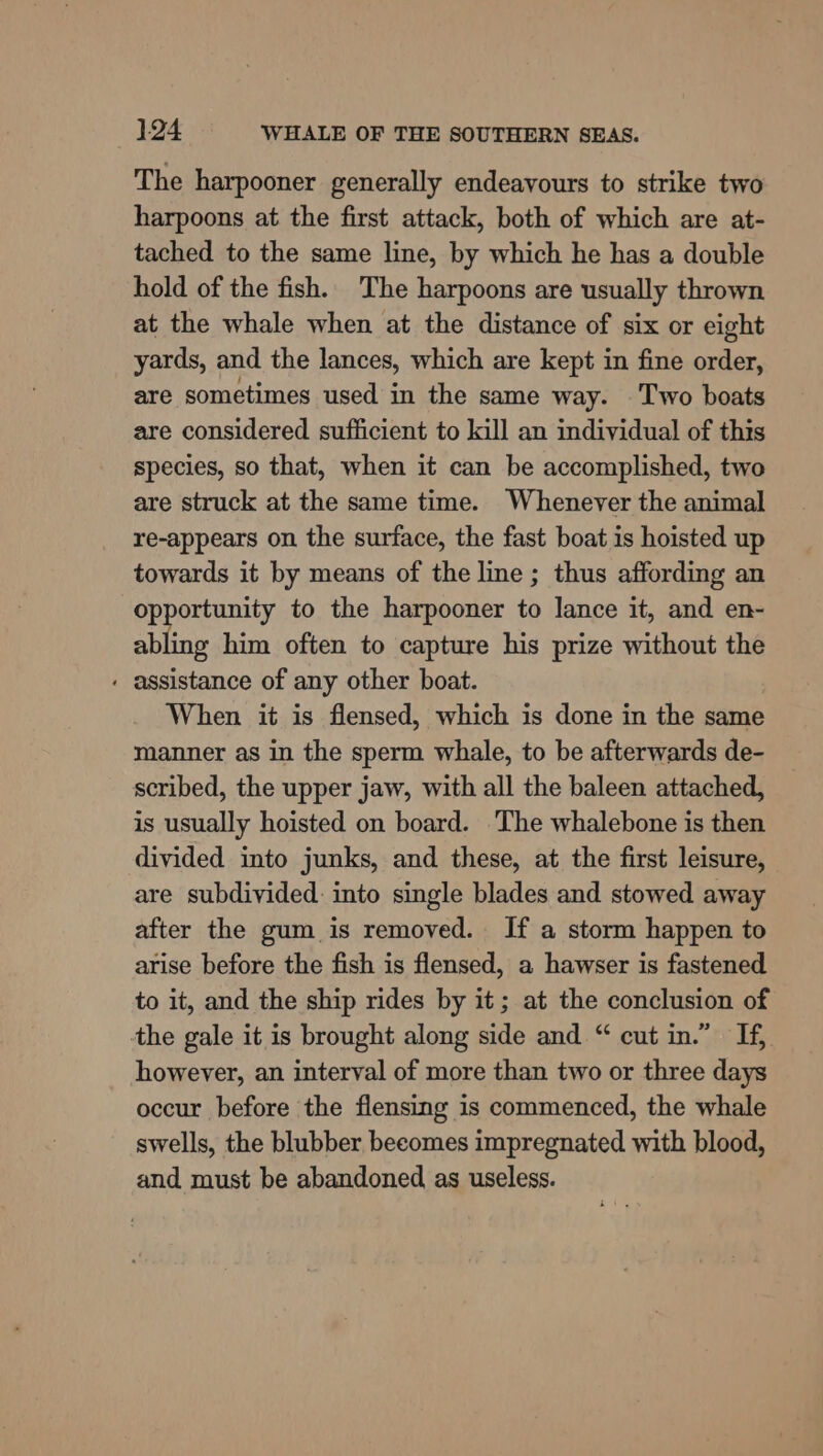 The harpooner generally endeavours to strike two harpoons at the first attack, both of which are at- tached to the same line, by which he has a double hold of the fish. The harpoons are usually thrown at the whale when at the distance of six or eight yards, and the lances, which are kept in fine order, are sometimes used in the same way. Two boats are considered sufficient to kill an individual of this species, so that, when it can be accomplished, two are struck at the same time. Whenever the animal re-appears on the surface, the fast boat is hoisted up towards it by means of the line ; thus affording an opportunity to the harpooner to lance it, and en- abling him often to capture his prize without the . assistance of any other boat. When it is flensed, which is done in the same manner as in the sperm whale, to be afterwards de- scribed, the upper jaw, with all the baleen attached, is usually hoisted on board. The whalebone is then divided into junks, and these, at the first leisure, are subdivided: into single blades and stowed away after the gum is removed. If a storm happen to arise before the fish is flensed, a hawser is fastened to it, and the ship rides by it; at the conclusion of the gale it is brought along side and “ cut in.” If, however, an interval of more than two or three days occur before the flensing is commenced, the whale swells, the blubber becomes impregnated with blood, and must be abandoned as useless.