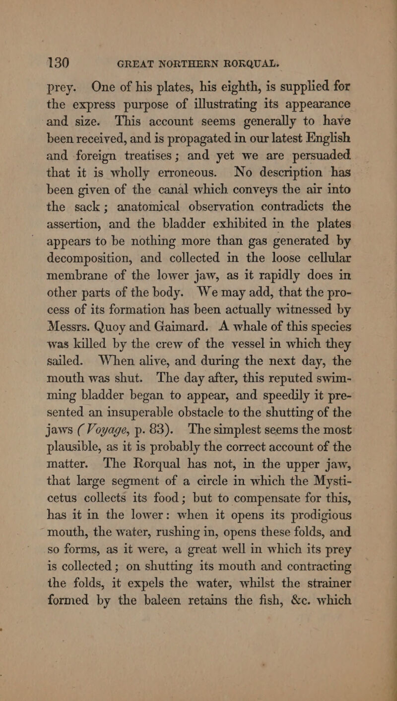 prey. One of his plates, his eighth, is supplied for the express purpose of illustrating its appearance and size. This account seems generally to have been received, and is propagated in our latest English and foreign treatises; and yet we are persuaded that it is wholly erroneous. No description has been given of the canal which conveys the air into the sack; anatomical observation contradicts the assertion, and the bladder exhibited in the plates appears to be nothing more than gas generated by decomposition, and collected in the loose cellular membrane of the lower jaw, as it rapidly does in other parts of the body. We may add, that the pro- cess of its formation has been actually witnessed by Messrs. Quoy and Gaimard. A whale of this species was killed by the crew of the vessel in which they sailed. When alive, and during the next day, the mouth was shut. The day after, this reputed swim- ming bladder began to appear, and speedily it pre- sented an insuperable obstacle to the shutting of the jaws (Voyage, p. 83). The simplest seems the most plausible, as it is probably the correct account of the matter. The Rorqual has not, in the upper jaw, that large segment of a circle in which the Mysti- cetus collects its food; but to compensate for this, has it in the lower: when it opens its prodigious mouth, the water, rushing in, opens these folds, and so forms, as it were, a great well in which its prey is collected ; on shutting its mouth and contracting the folds, it expels the water, whilst the strainer formed by the baleen retains the fish, &amp;c. which