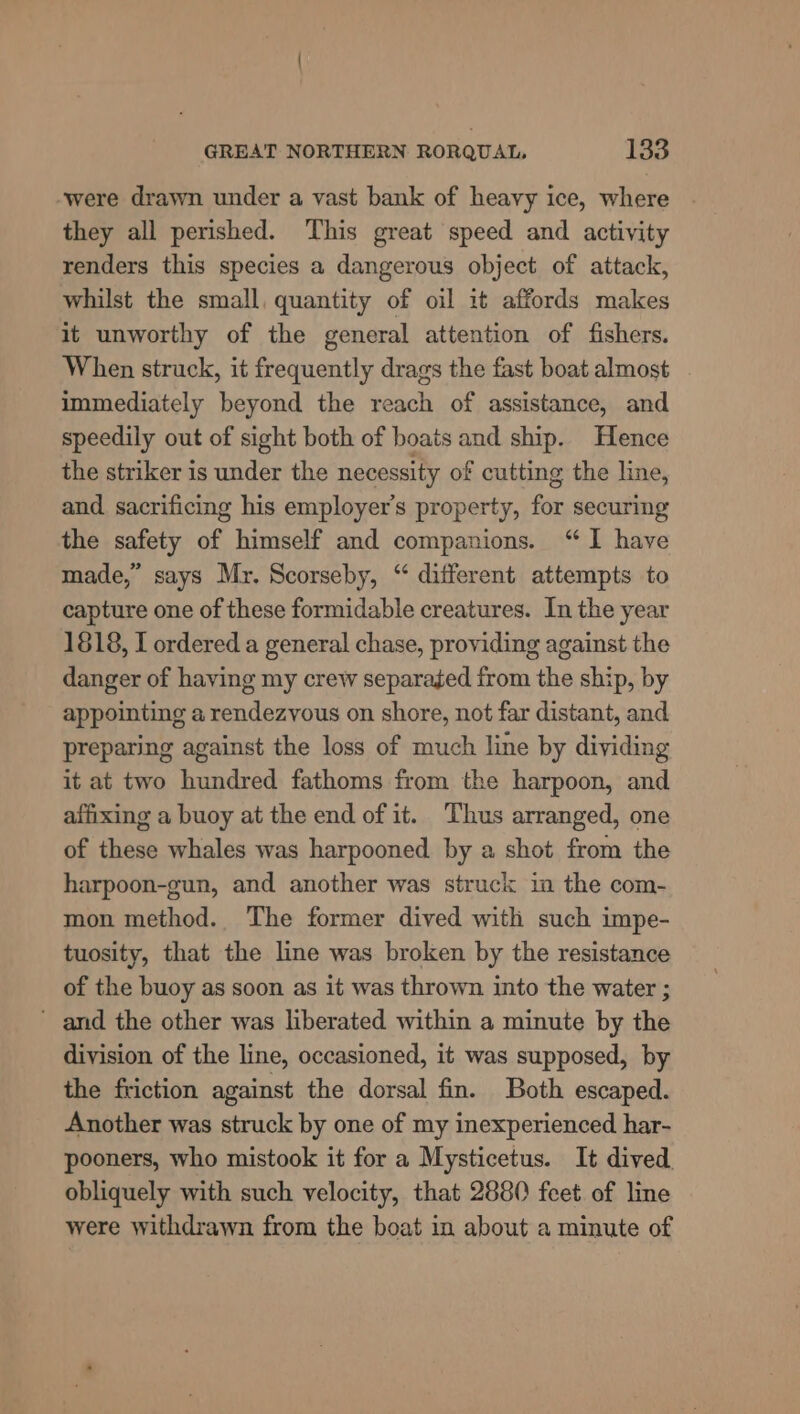 were drawn under a vast bank of heavy ice, where they all perished. This great speed and activity renders this species a dangerous object of attack, whilst the small, quantity of oil it affords makes it unworthy of the general attention of fishers. When struck, it frequently drags the fast boat almost immediately beyond the reach of assistance, and speedily out of sight both of boats and ship. Hence the striker is under the necessity of cutting the line, and sacrificing his employer's property, for securing the safety of himself and companions. “I have made,” says Mr. Scorseby, “ different attempts to capture one of these formidable creatures. In the year 1818, I ordered a general chase, providing against the danger of having my crew separated from the ship, by appointing a rendezvous on shore, not far distant, and preparing against the loss of much line by dividing it at two hundred fathoms from the harpoon, and affixing a buoy at the end of it. Thus arranged, one of these whales was harpooned by a shot from the harpoon-gun, and another was struck im the com- mon method. The former dived with such impe- tuosity, that the line was broken by the resistance of the buoy as soon as it was thrown into the water ; ' and the other was liberated within a minute by the division of the line, occasioned, it was supposed, by the friction against the dorsal fin. Both escaped. Another was struck by one of my inexperienced har- pooners, who mistook it for a Mysticetus. It dived. obliquely with such velocity, that 2880 feet of line were withdrawn from the boat in about a minute of