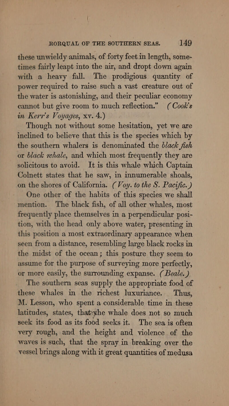 these unwieldy animals, of forty feet.in length, some- times fairly leapt into the air, and dropt down again with a heavy fall. The prodigious quantity of power required to raise such a vast creature out of the water is astonishing, and their peculiar economy cannot but give room to much reflection.” (Cook's in Kerr's Voyages, xv. 4.) Though not without some hesitation, yet we are inclined to believe that this is the species which by the southern whalers is denominated the black jish or black whale, and which most frequently they are solicitous to avoid. It is this whale which Captain Colnett states that he saw, in innumerable shoals, on the shores of California. (Voy. to the S. Pacific.) One other of the habits of this species we shall mention. The black fish, of all other whales, most frequently place themselves in a perpendicular posi- tion, with the head only above water, presenting in this position a most extraordinary appearance when seen from a distance, resembling large black rocks in the midst of the ocean; this posture they seem to assume for the purpose of surveying more perfectly, or more easily, the surrounding expanse. ( Beale. ) The southern seas supply the appropriate food of these whales in the richest luxuriance. Thus, M. Lesson, who spent a considerable time in these latitudes, states, thatwhe whale does not so much seek its food as its food seeks it. The sea is often very rough, and the height and violence of the waves is such, that the spray in breaking over the vessel brings along with it great quantities of medusa